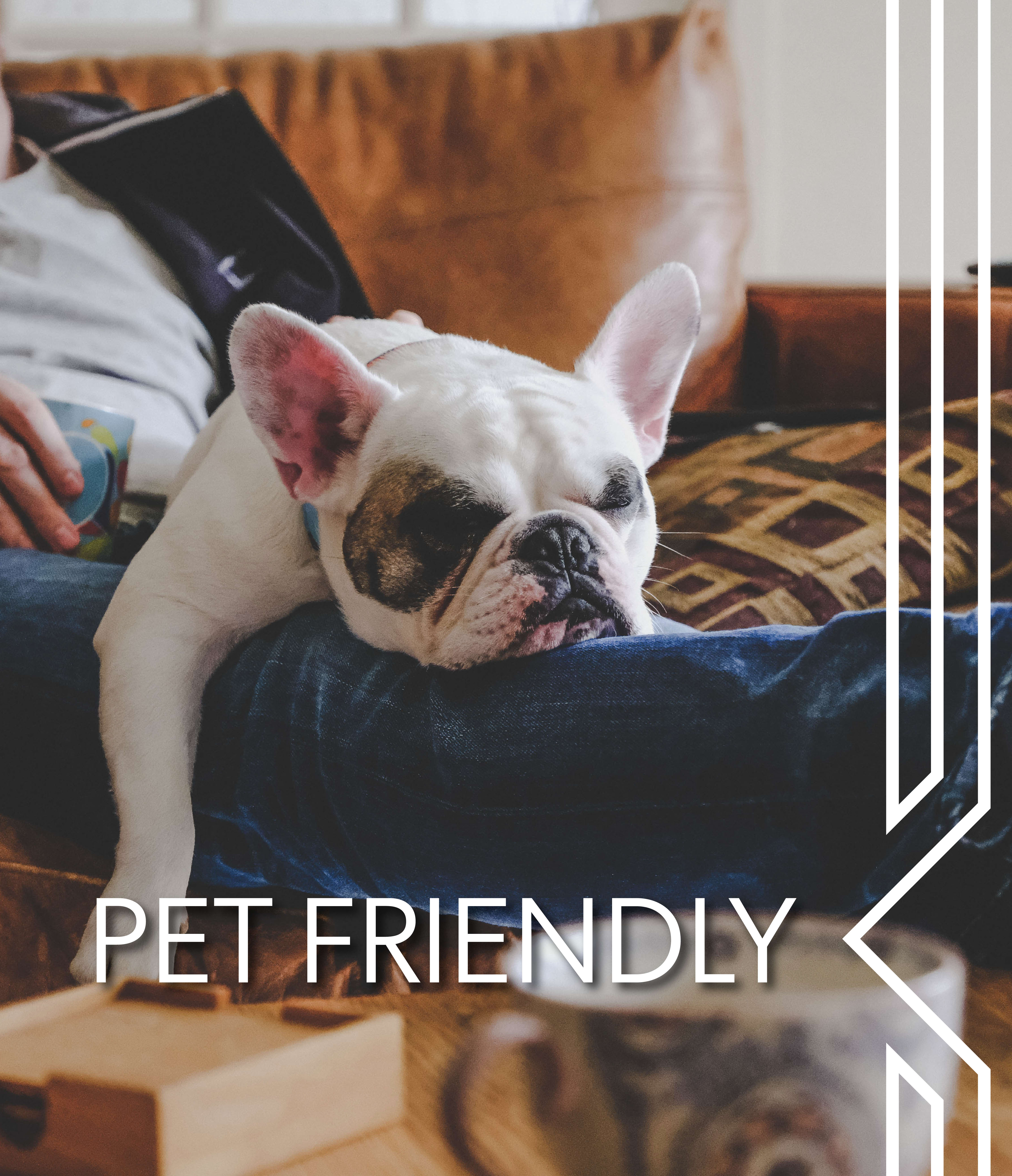 View our pet policy at Ridgecrest in Denton, Texas