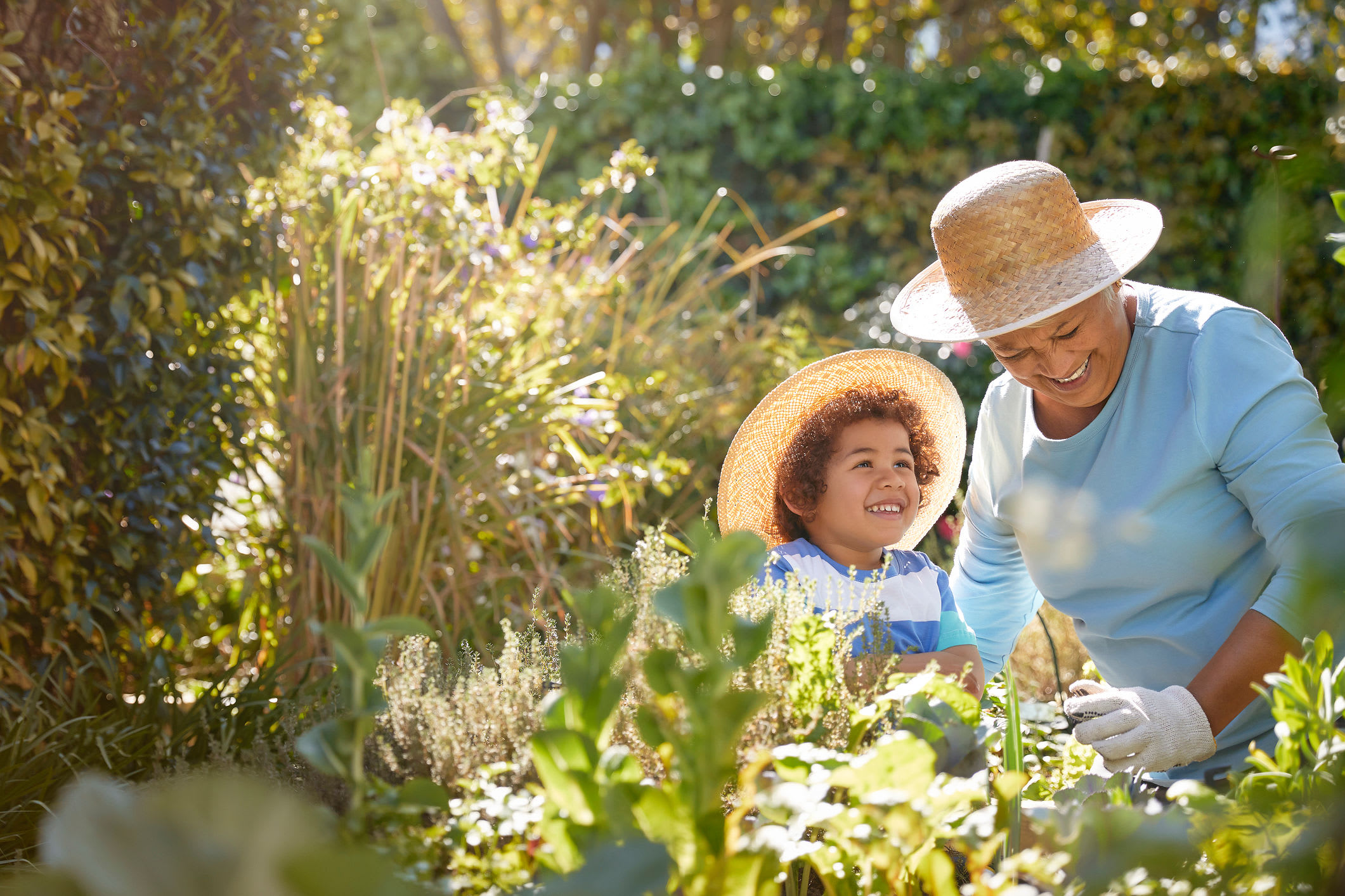 Living Options at Compass Senior Living.