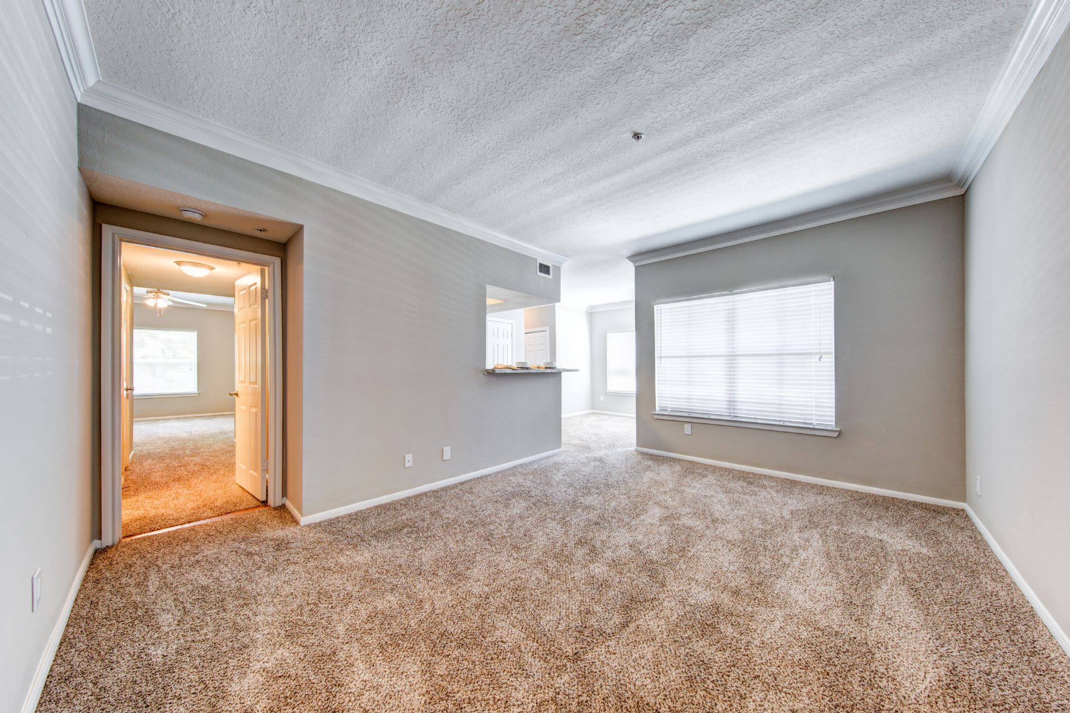 Bright room with carpet floors at Marquis at Silverton in Cary, North Carolina