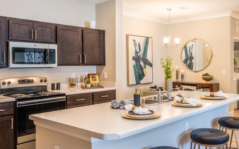 Large kitchen with dark cabinets and stainless steel appliances at The Isaac in Summerville, South Carolina