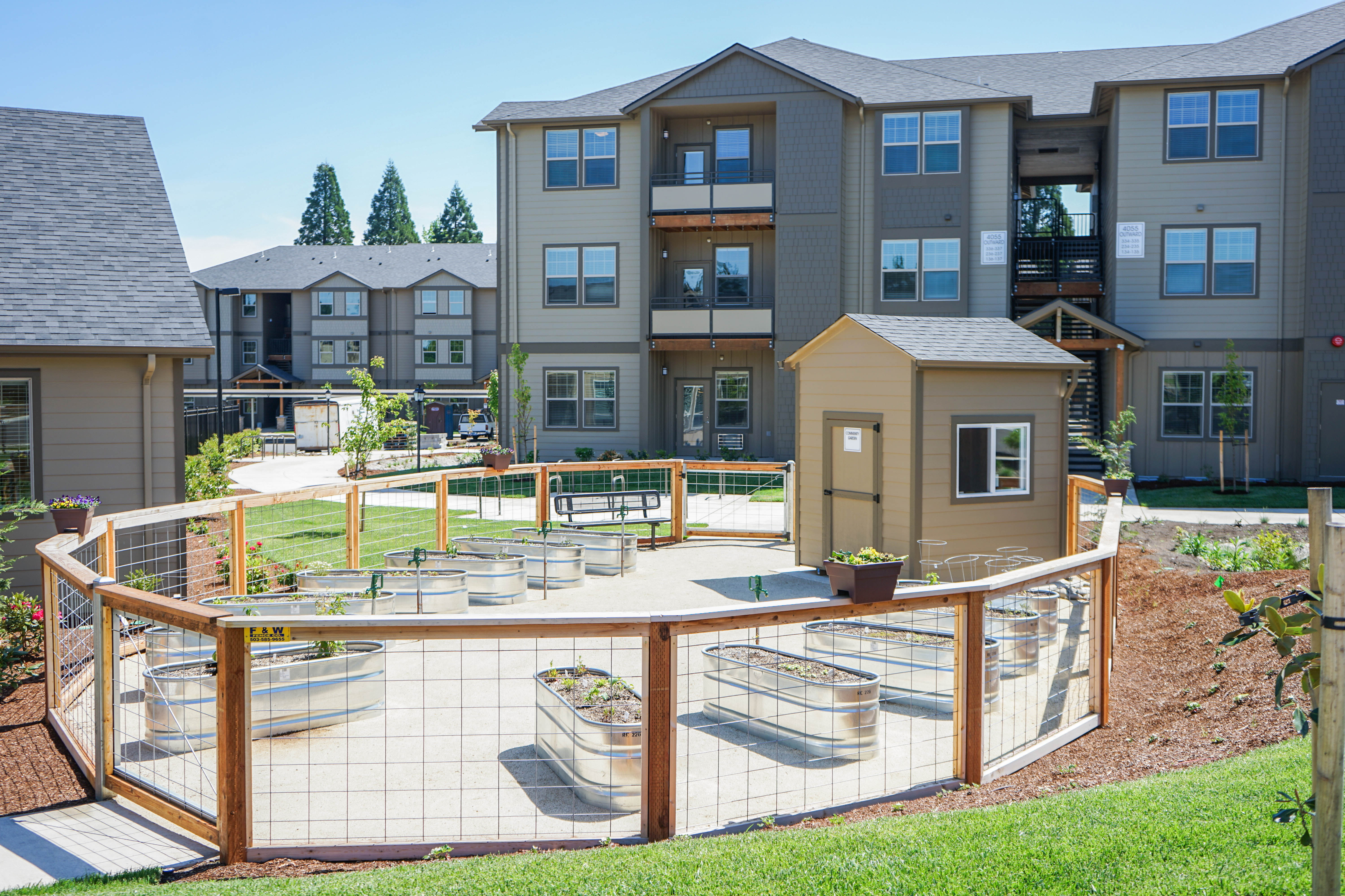 Dog play area at The Grove in Salem, Oregon