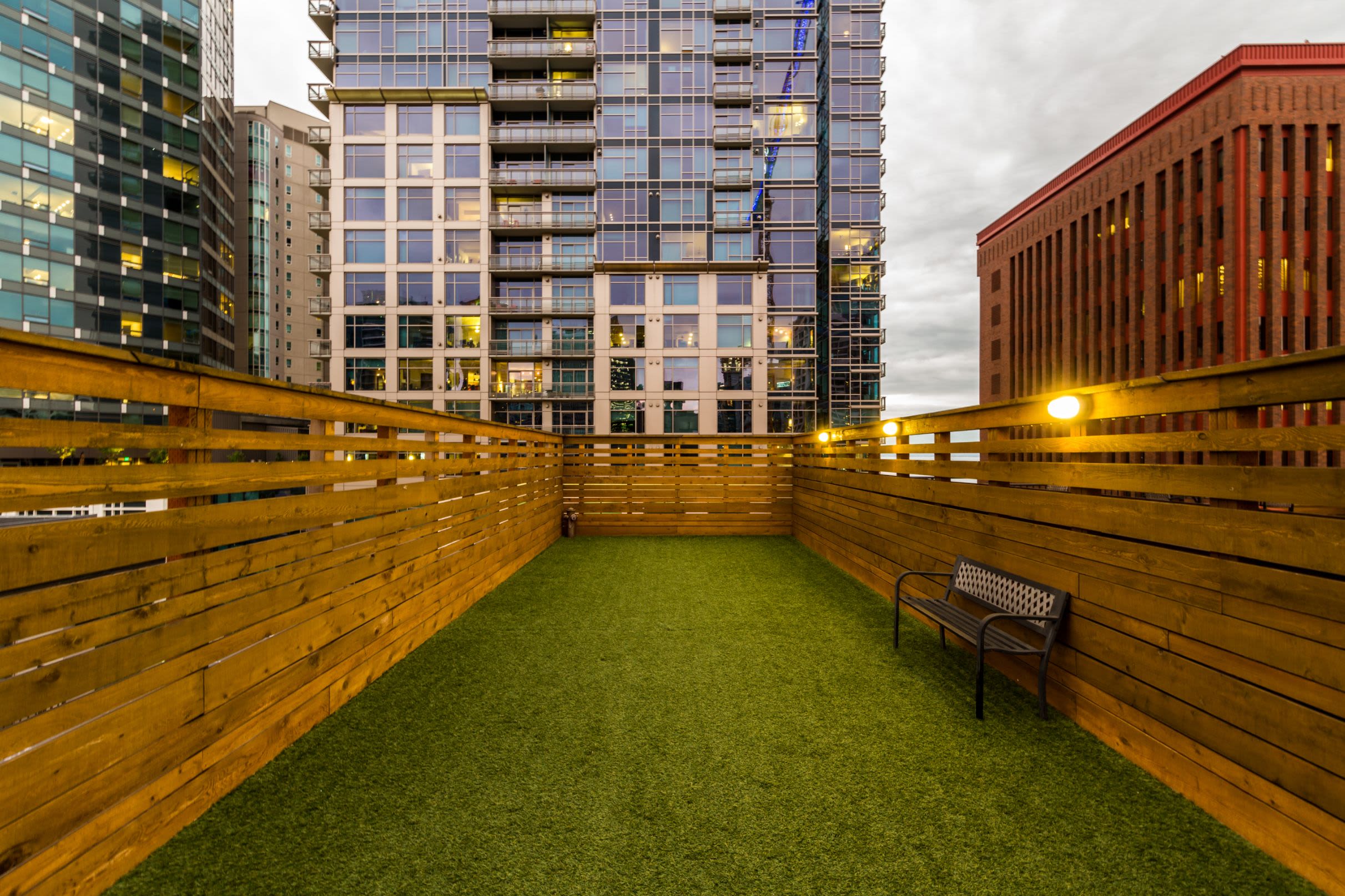 Rooftop dog park at Marq 211 in Seattle, Washington