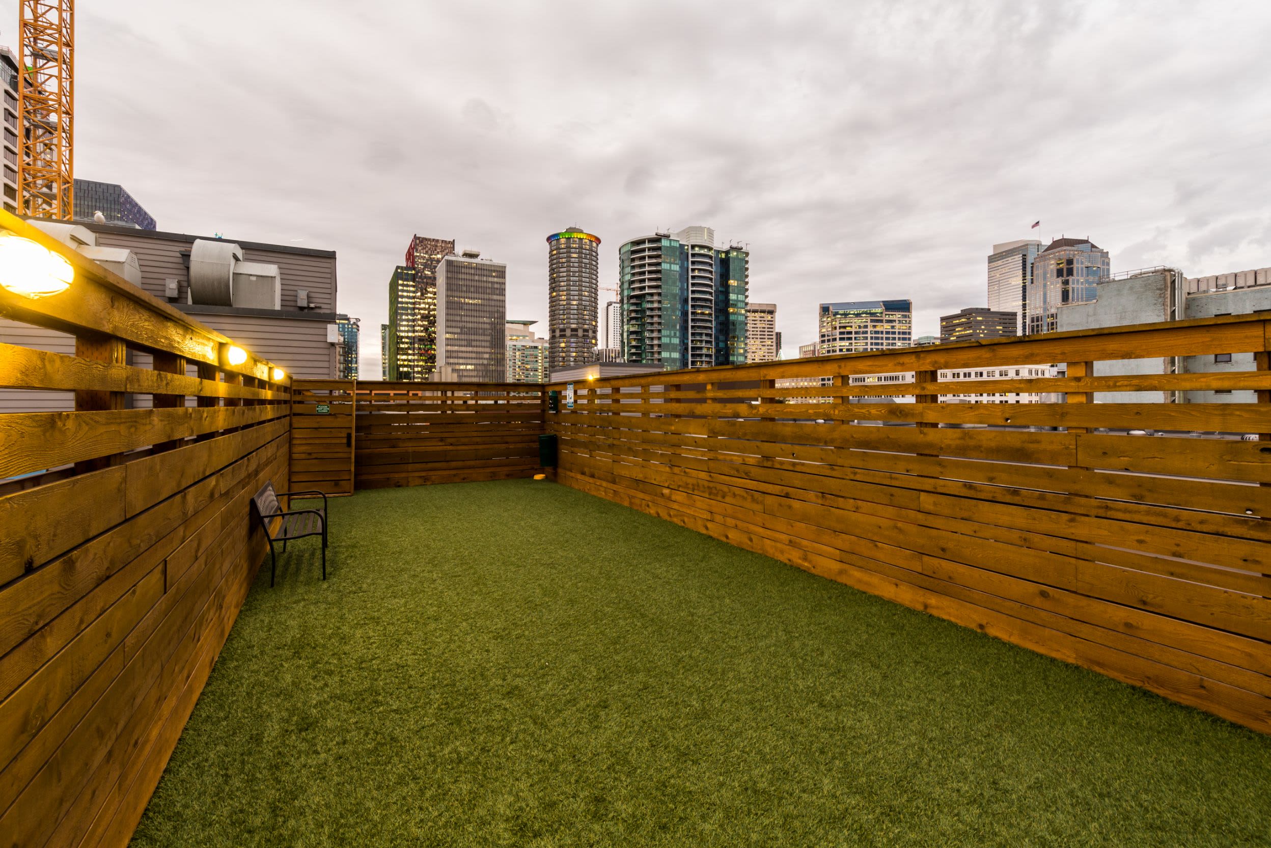 Rooftop dog park at Marq 211 in Seattle, Washington