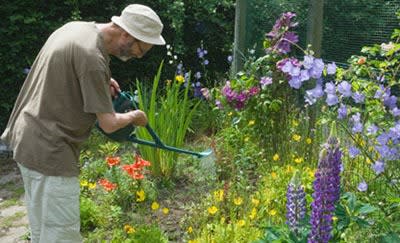 Man gardening at The Ridge at Madison in Fitchburg, Wisconsin