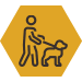Breed restrictions at Regents West at 26th in Austin, Texas