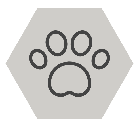 Paw print