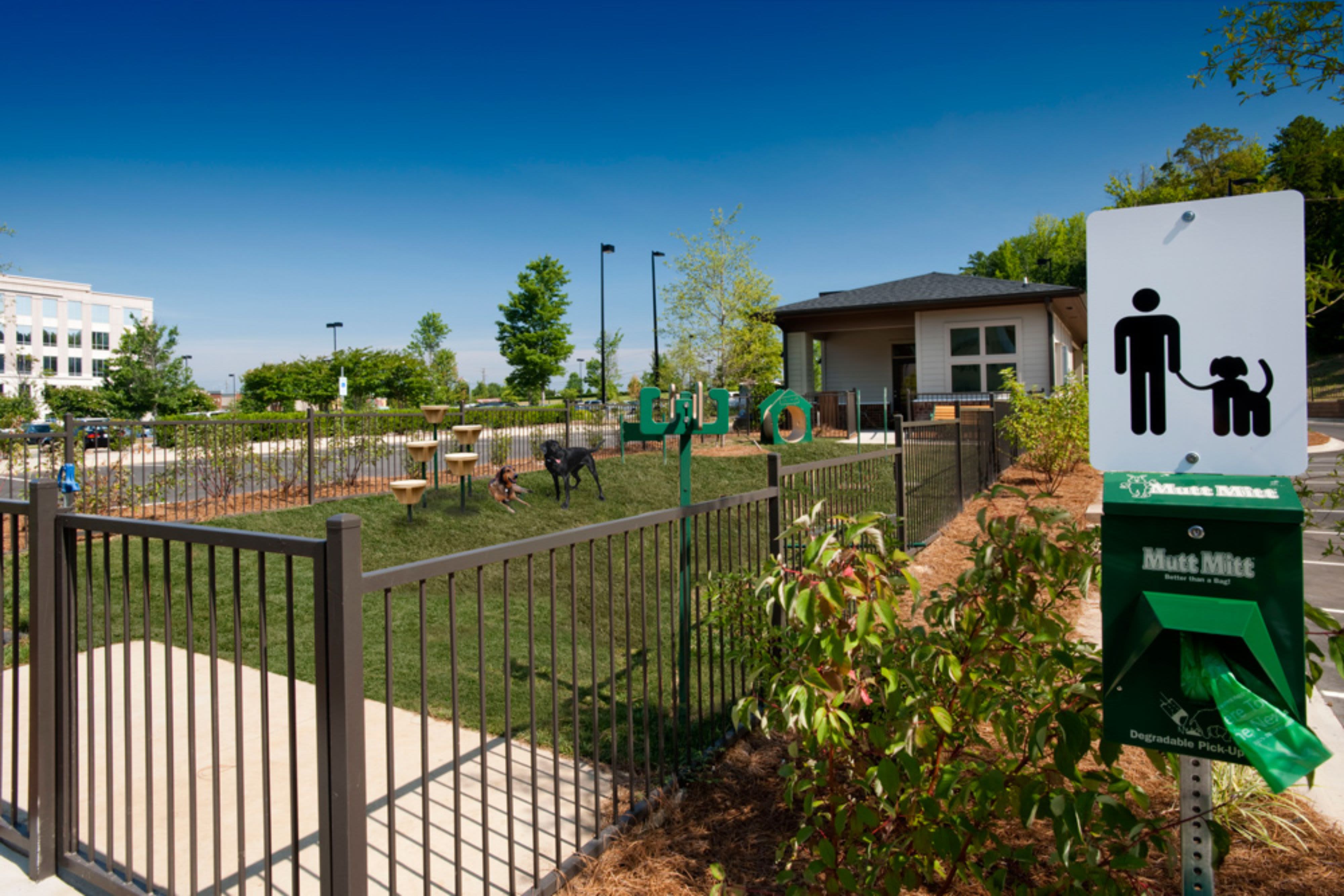 Onsite dog park at Celsius Apartment Homes in Charlotte, North Carolina