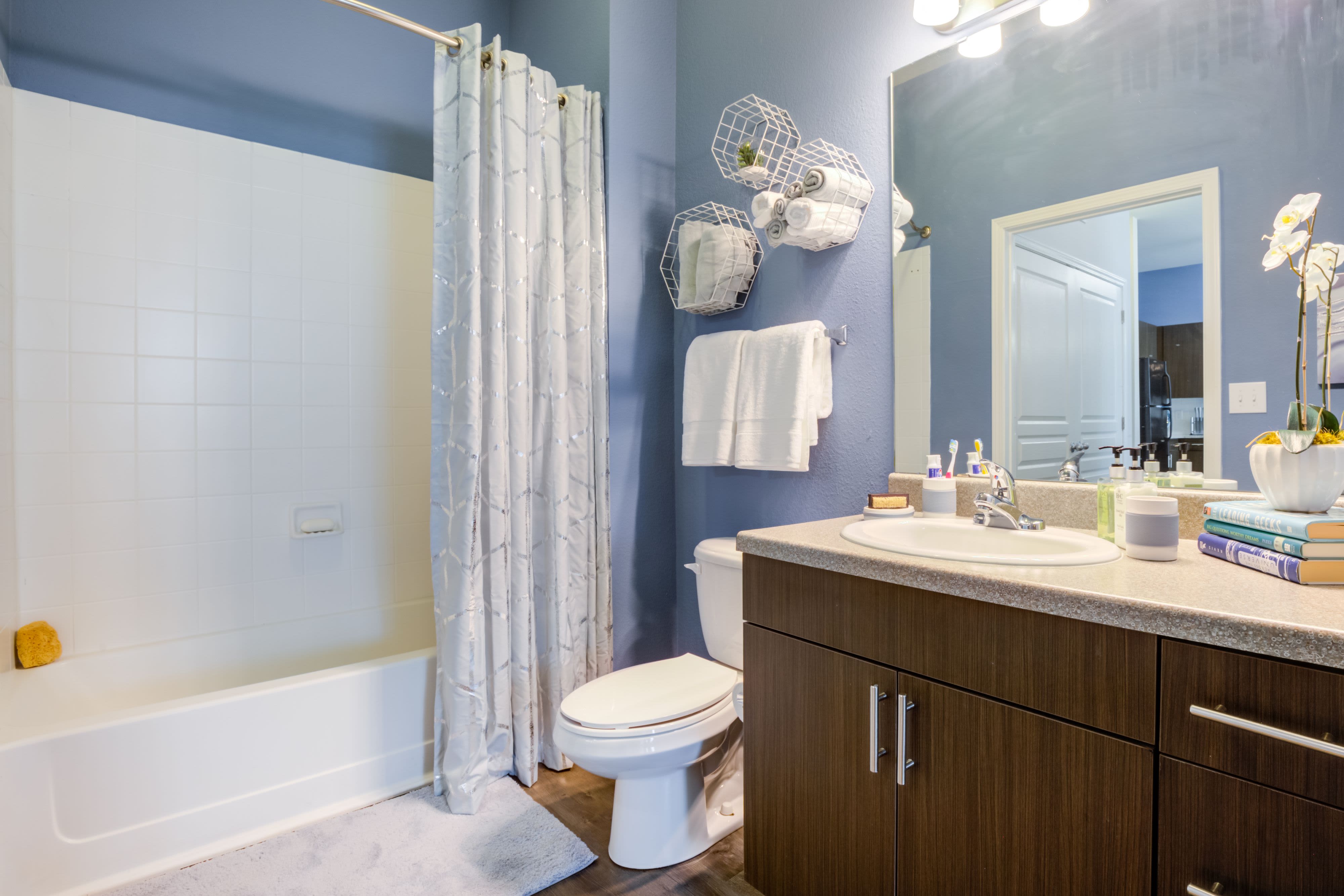 Model bathroom at Celsius Apartment Homes in Charlotte, North Carolina