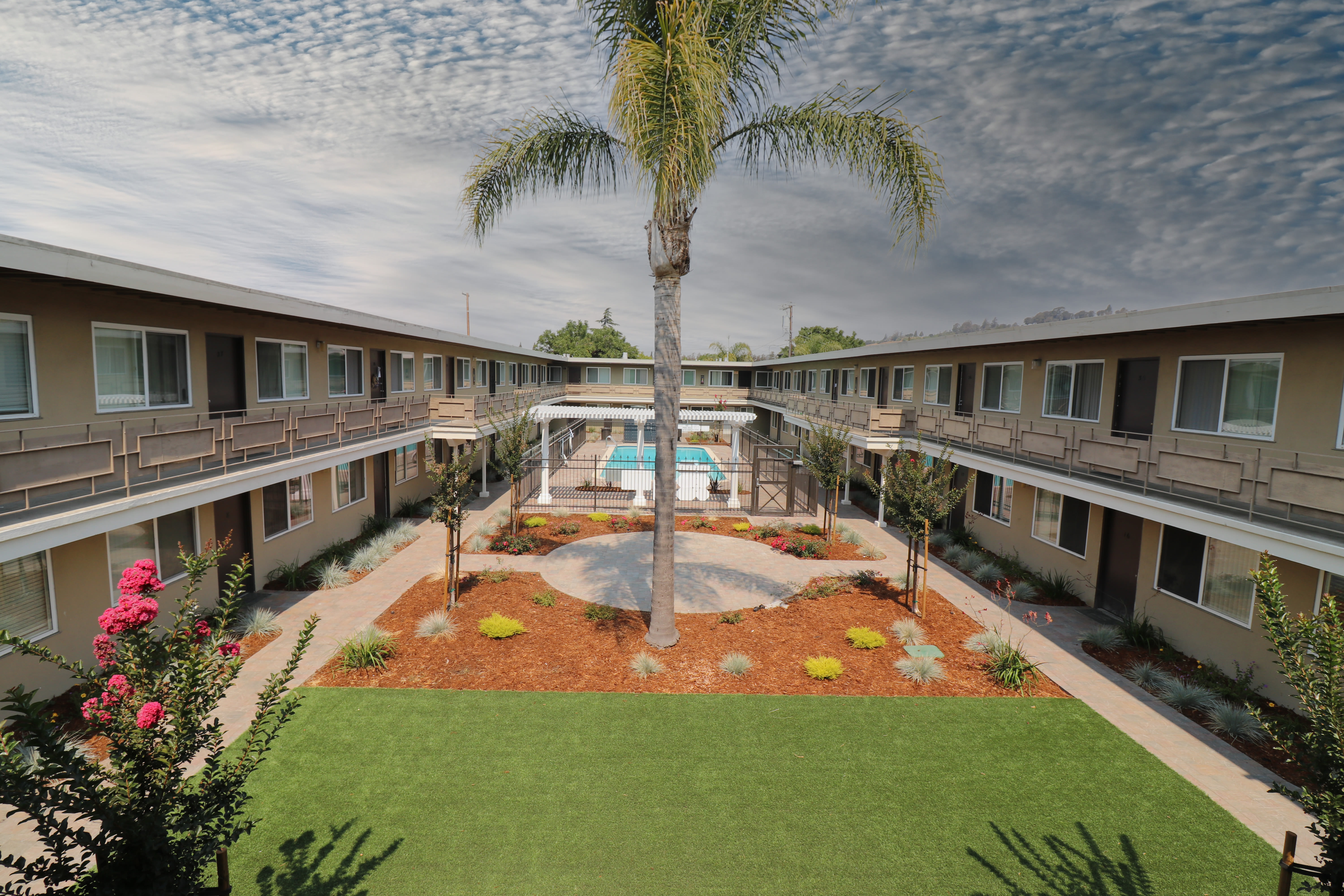 Beautiful courtyard with palm tree at Coral Gardens Apartment Homes in Hayward, California