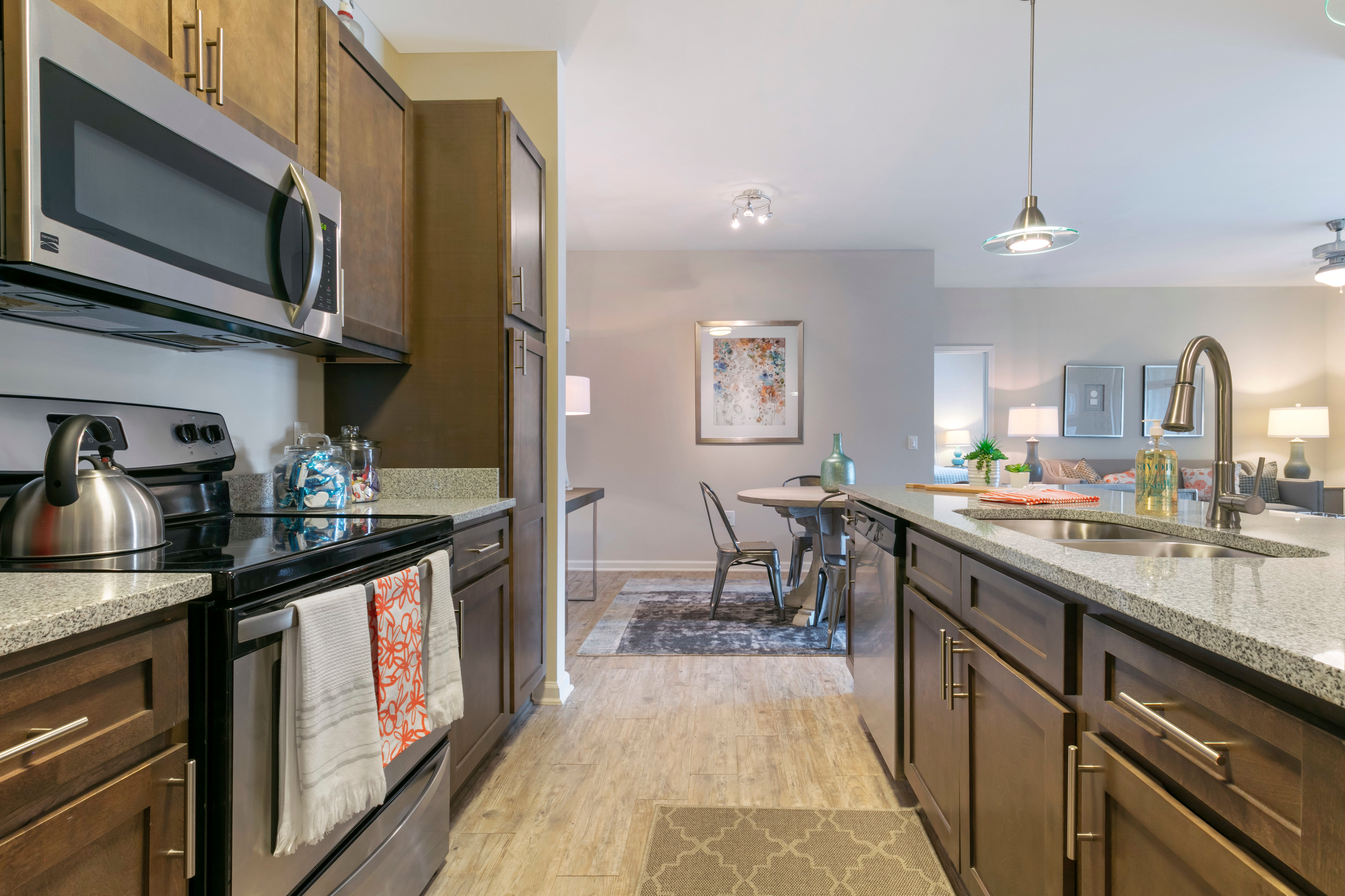 Modern kitchen with granite countertops and stainless steel appliances at The Village at Apison Pike in Ooltewah, Tennessee