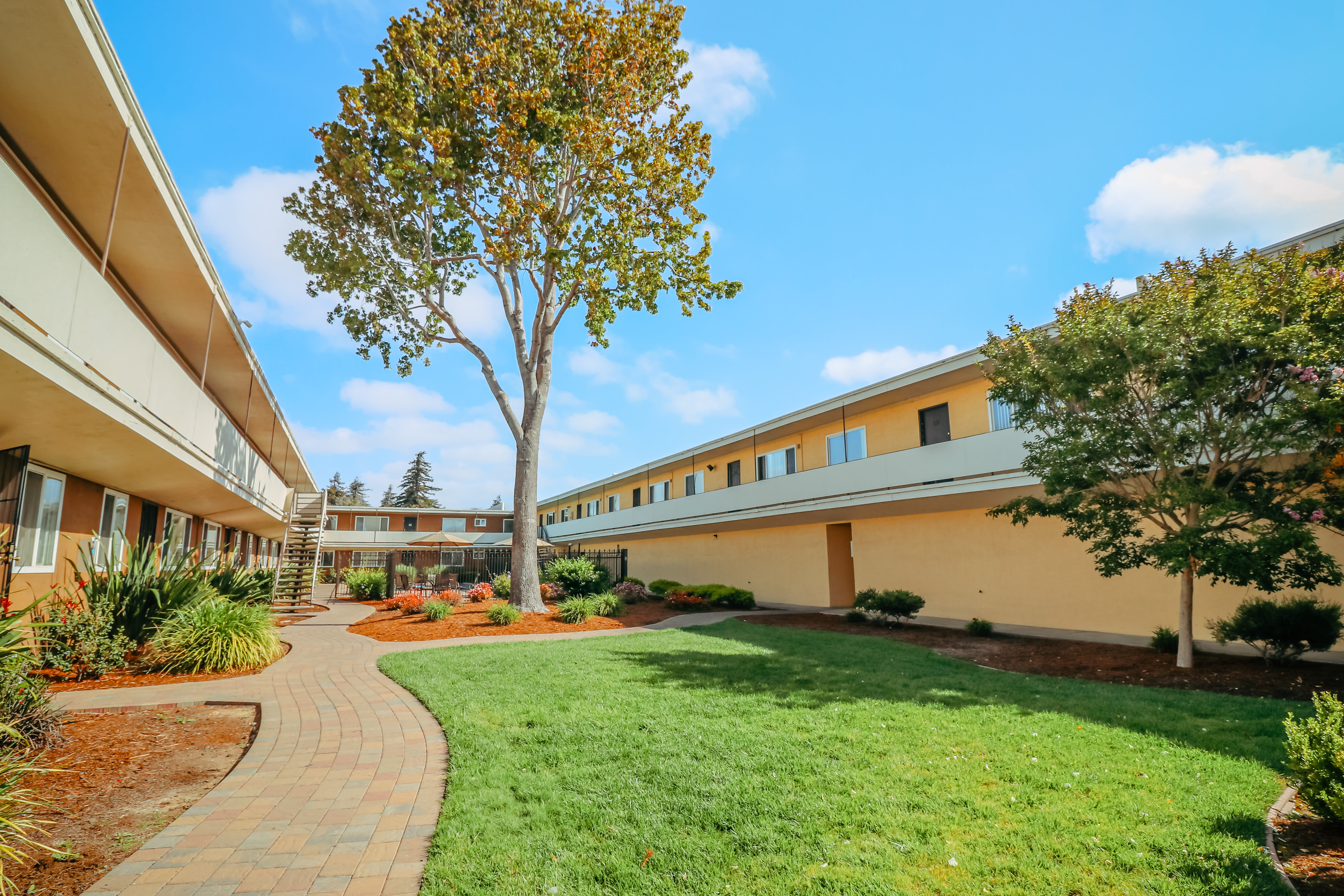 Grassy lawn outside of Garden Court in Alameda, California