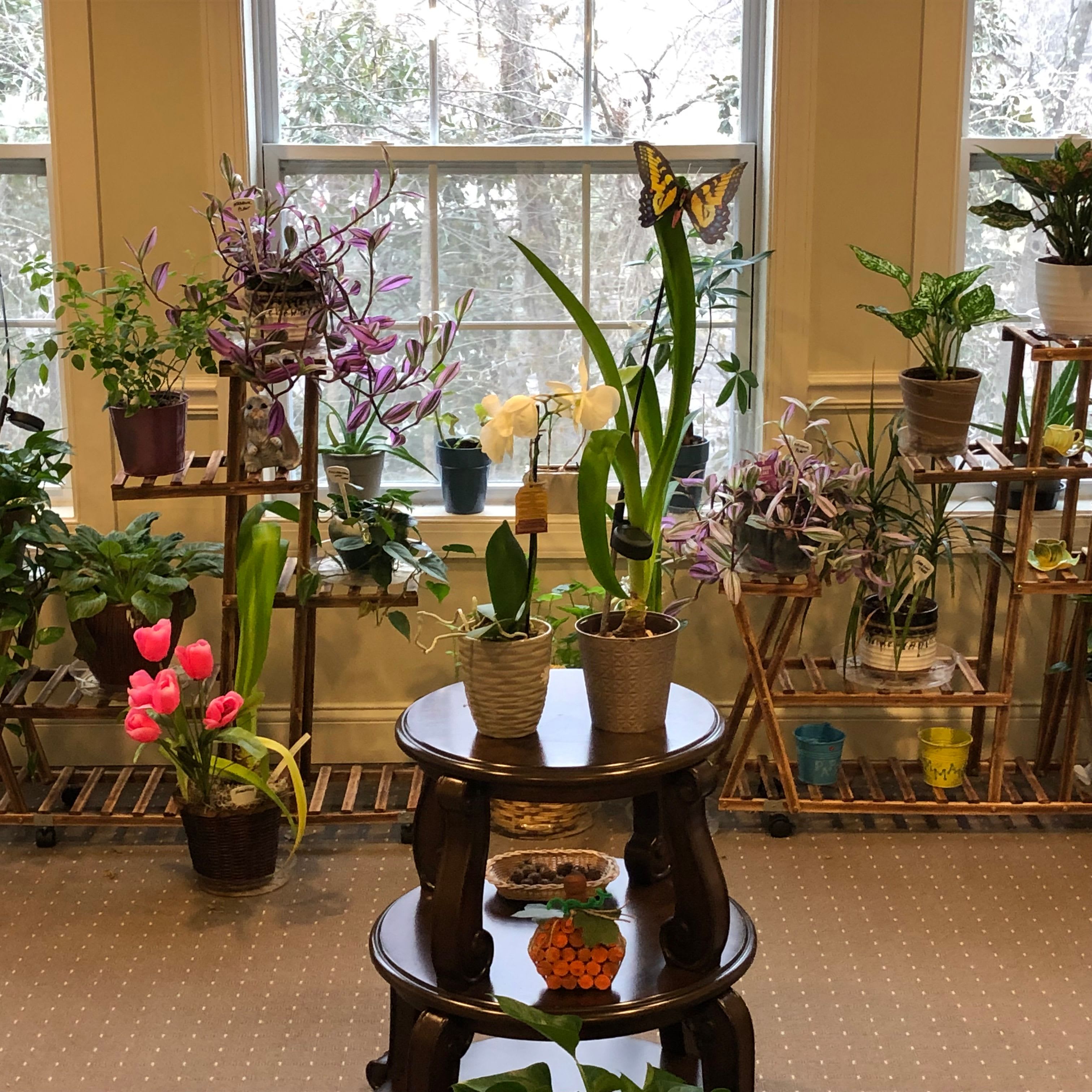 Botanical room at at The Hearth at Hendersonville in Hendersonville, Tennessee 