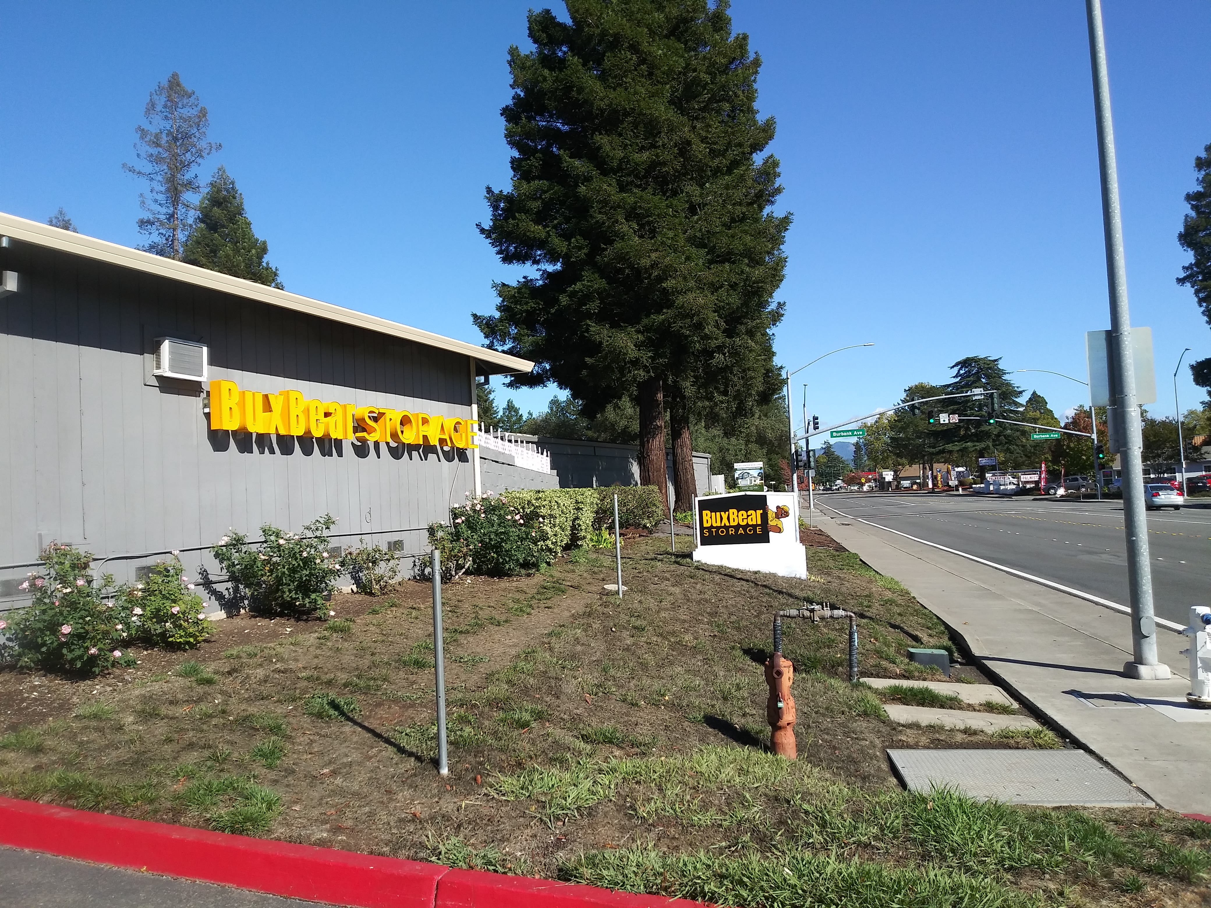 Branding and signage on the exterior of BuxBear Storage Santa Rosa in Santa Rosa, California