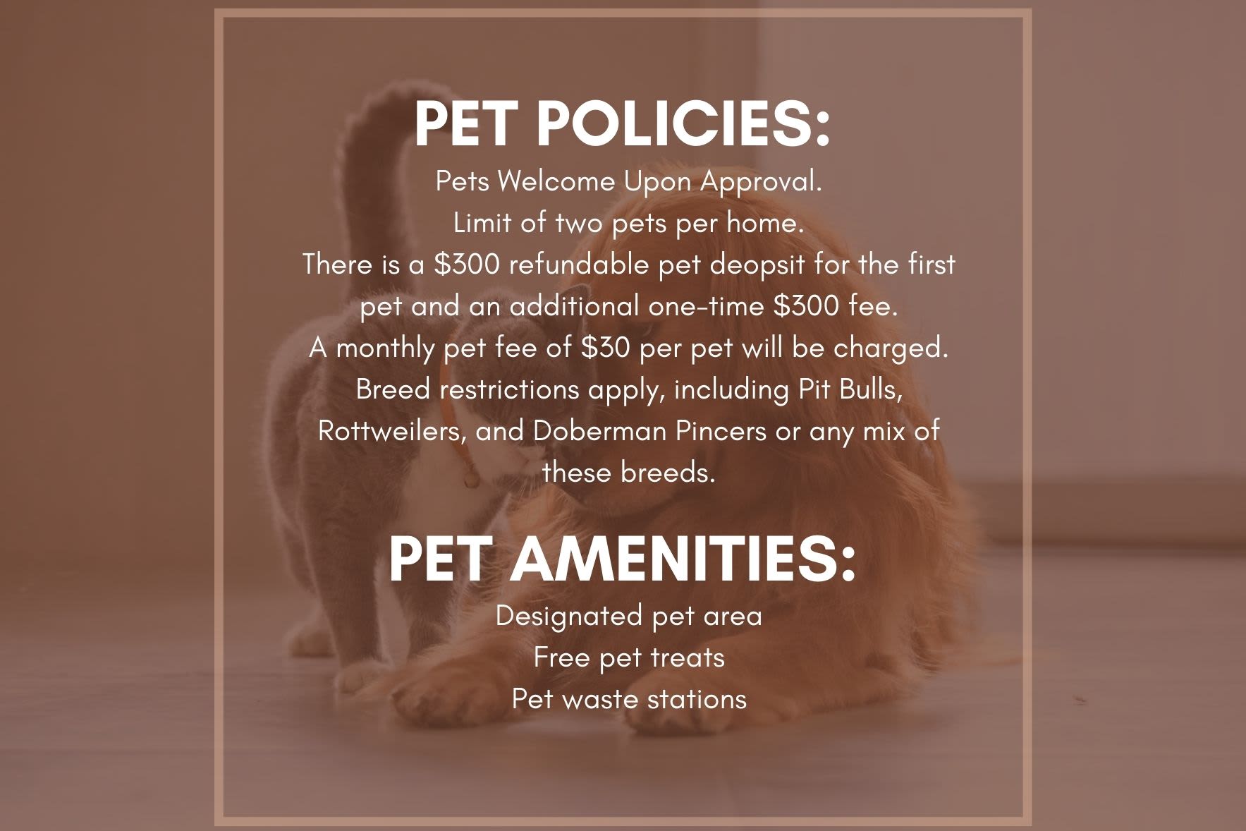 Photo of pet restrictions at Westmeadow Peaks Apartments in Colorado Springs, Colorado