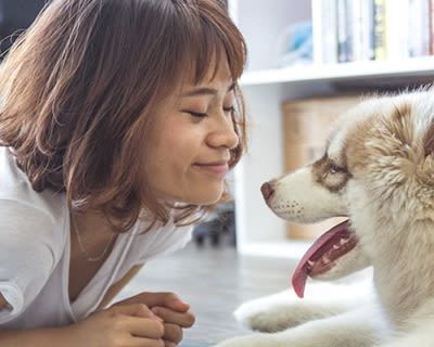 
The Home Renter’s Moving Guide: Renting With Pets
