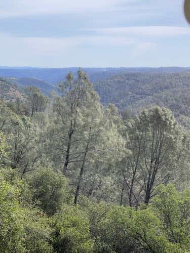 American River Canyon, Auburn, CA