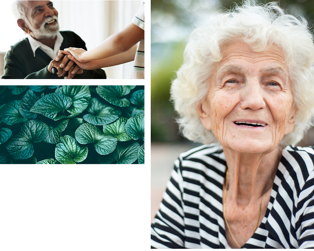 Collage of residents and plants at The Heritage Memory Care in The Woodlands, Texas