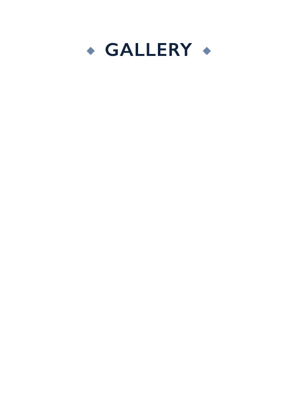 gallery graphic