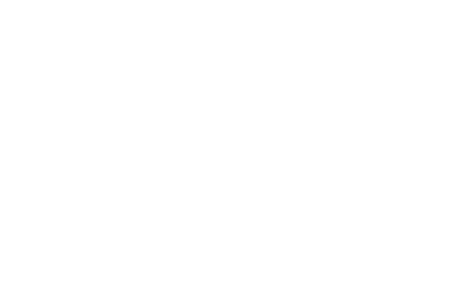 Logo for The Griffon Vero Beach