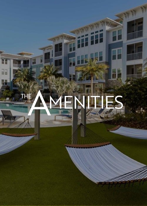 View amenities at The Addison Skyway Marina in St. Petersburg, Florida