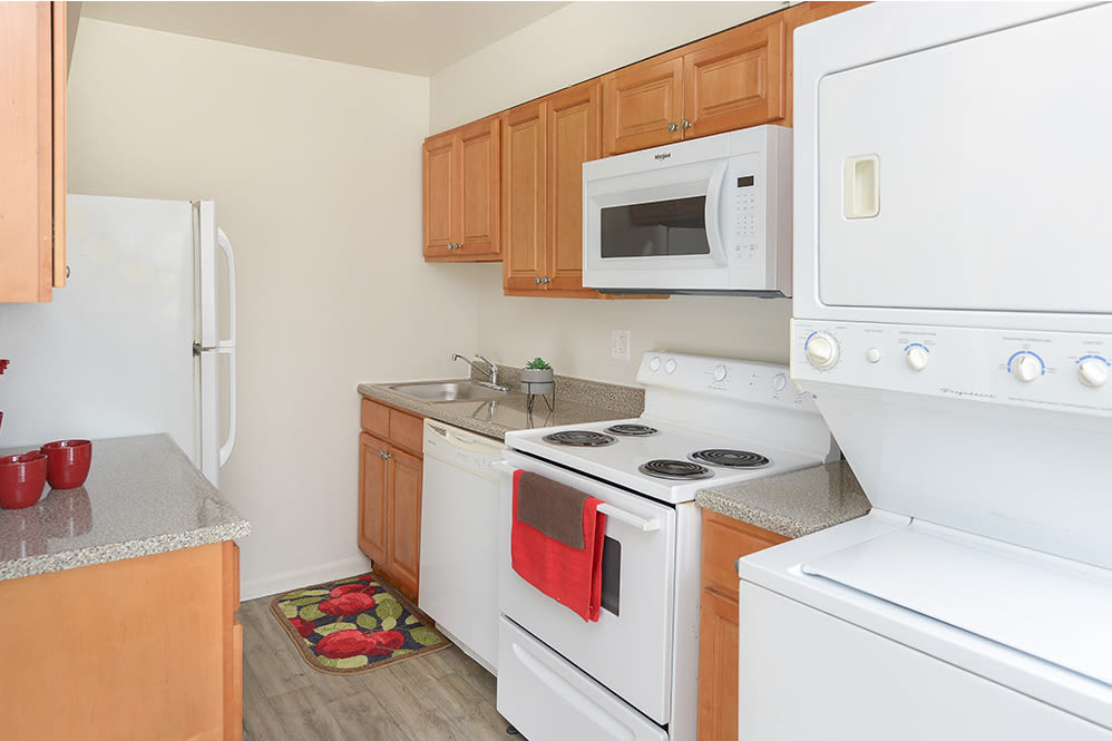 Enjoy apartments with a naturally well-lit kitchen at Warwick Terrace Apartment Homes