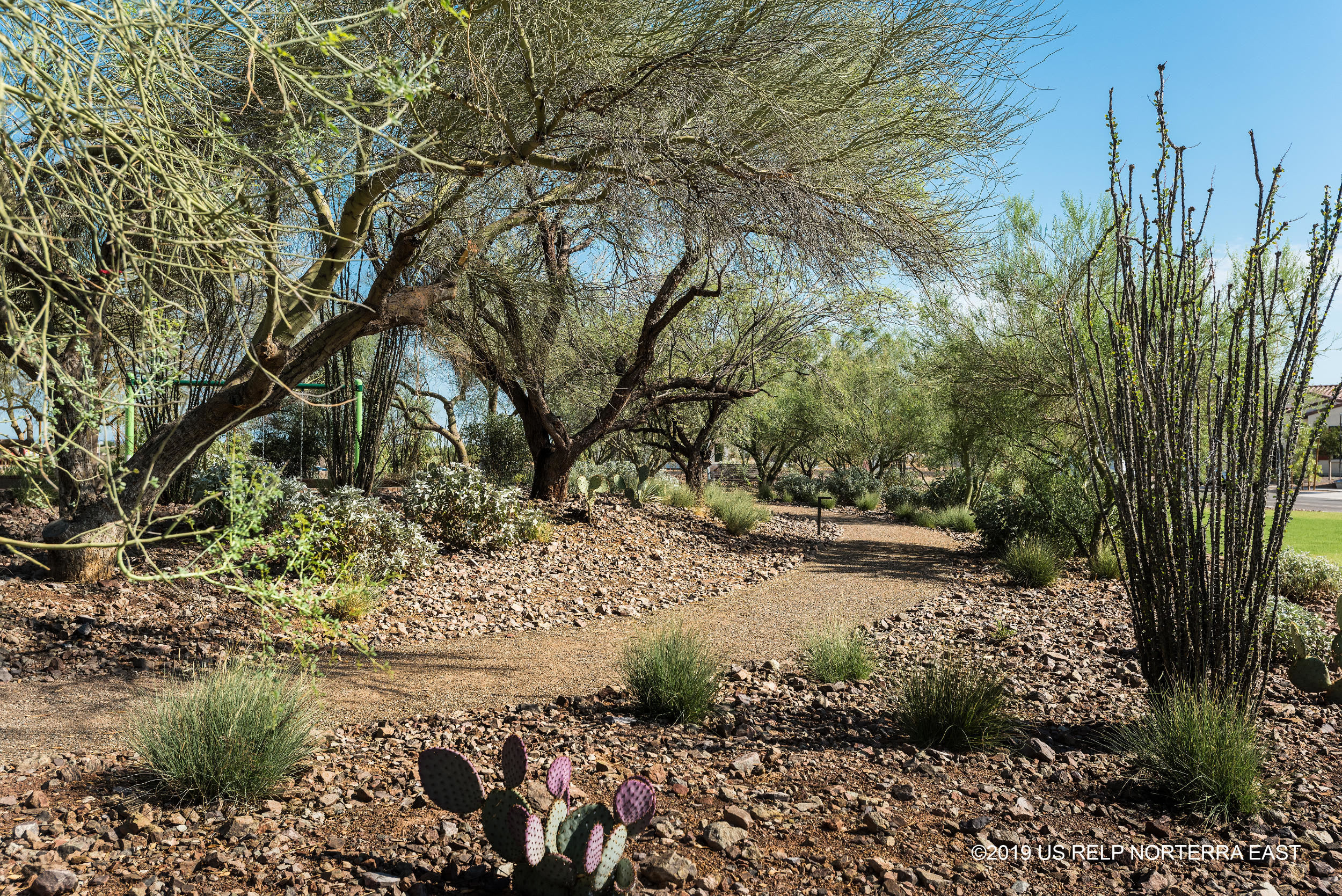 Explore the Desert Ridge area near BB Living Desert Ridge in Phoenix, Arizona