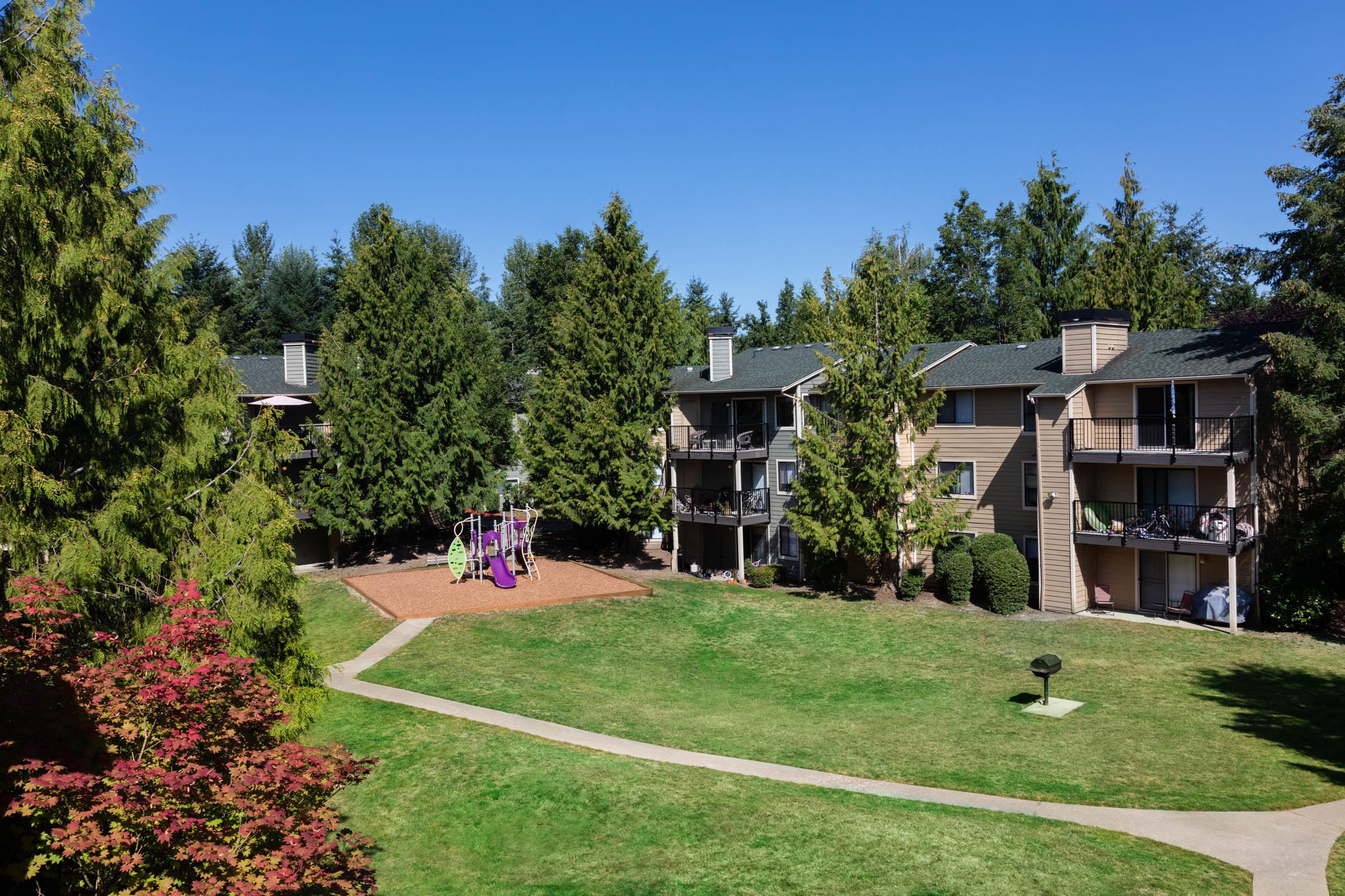 Well-maintained lawns and winding walkways outside resident buildings at Madison Sammamish Apartments in Sammamish, Washington