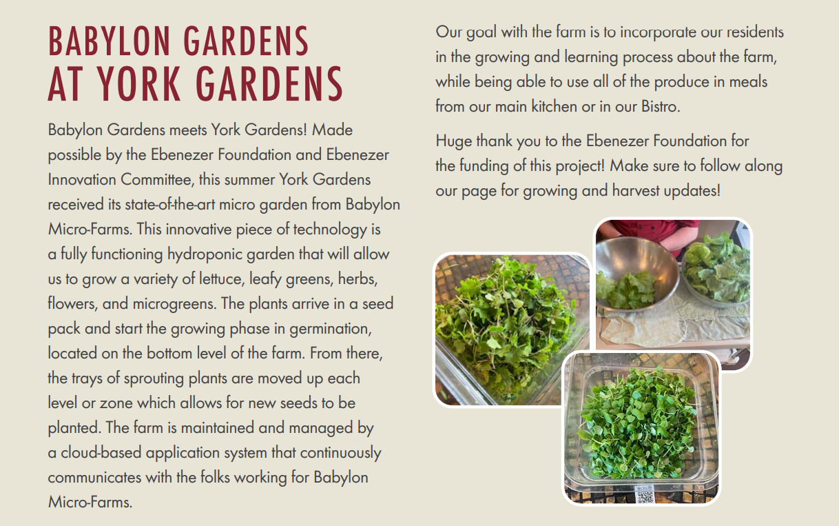 Spring Greens All Year Long info flyer for York Gardens