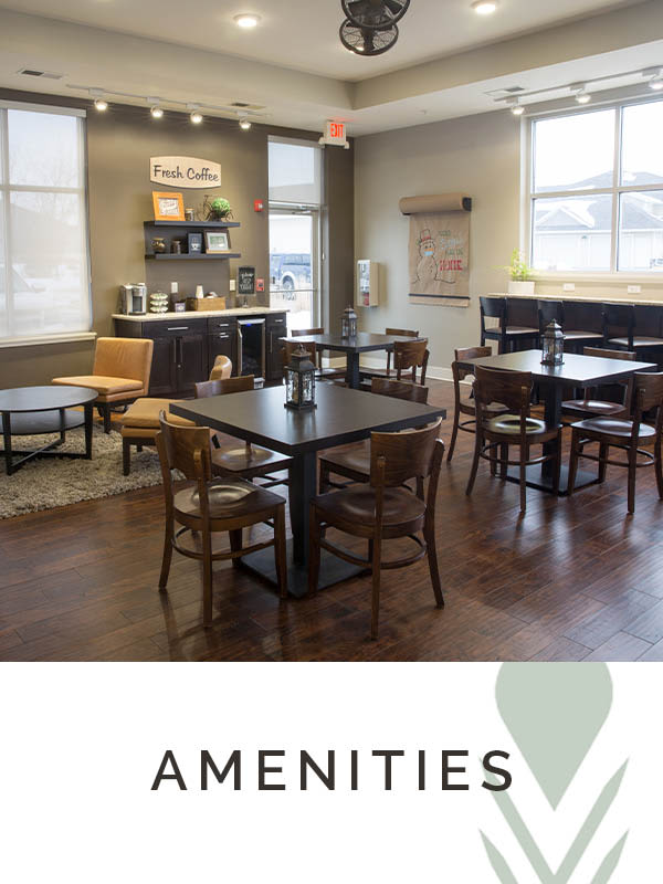 Amenities at Providence Pointe in Johnston, Iowa