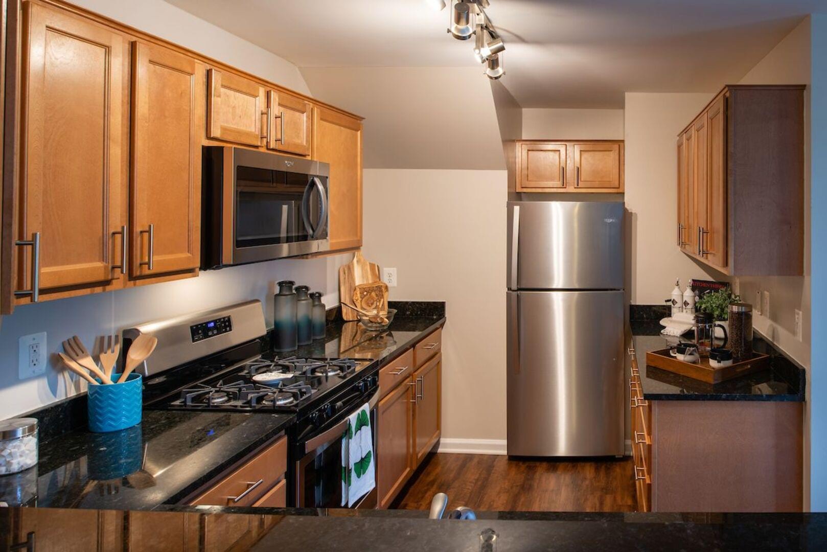 Modern apartment kitchen with granite countertop and stainless-steel appliances at The Elms at Germantown in Germantown, Maryland