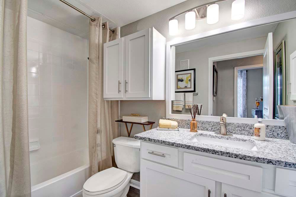 Enjoy Apartments with a Bathroom at Reserve at Pebble Creek 