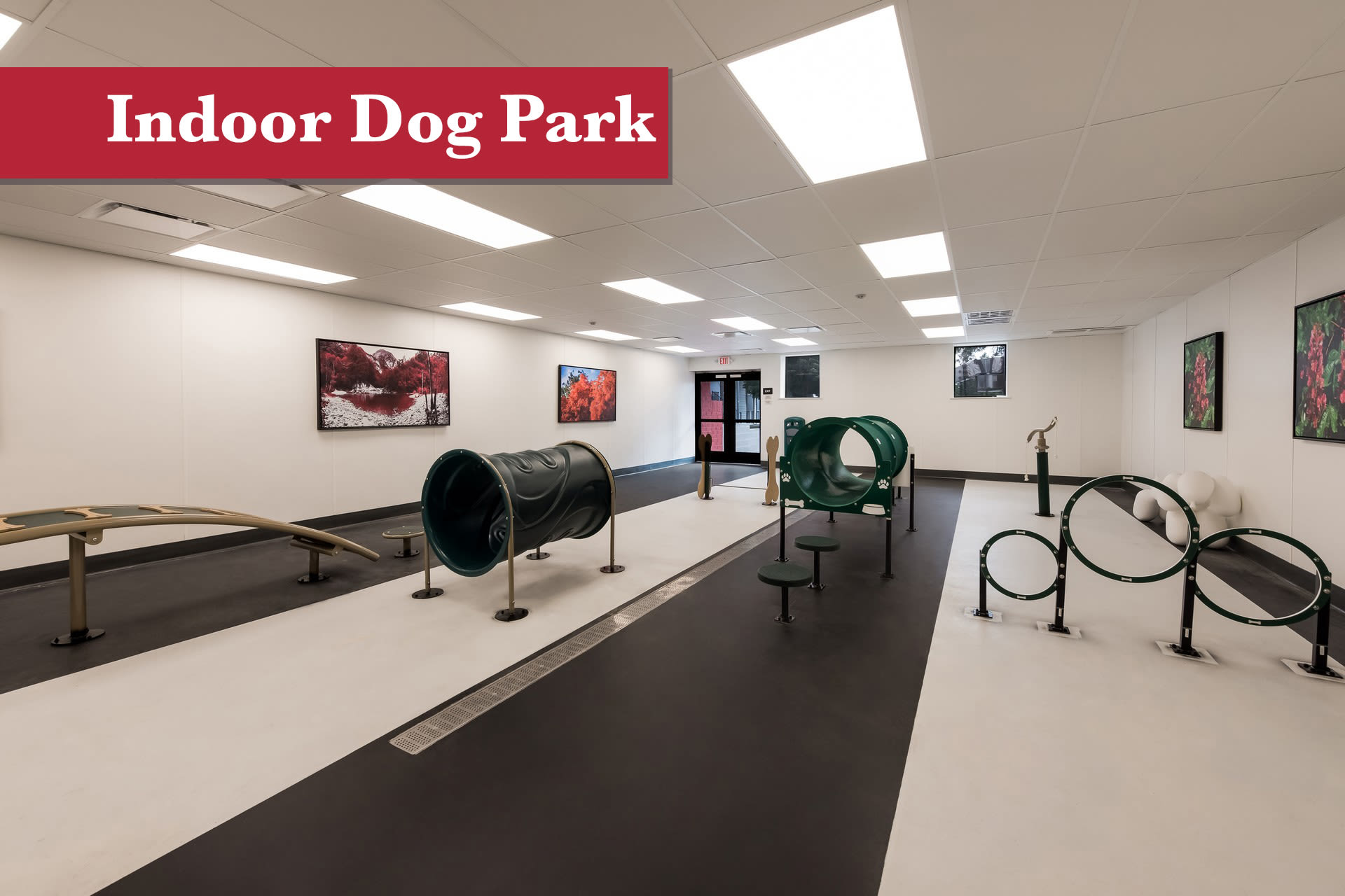 Indoor dog park photo at Fox and Hounds Apartments in Columbus, Ohio
