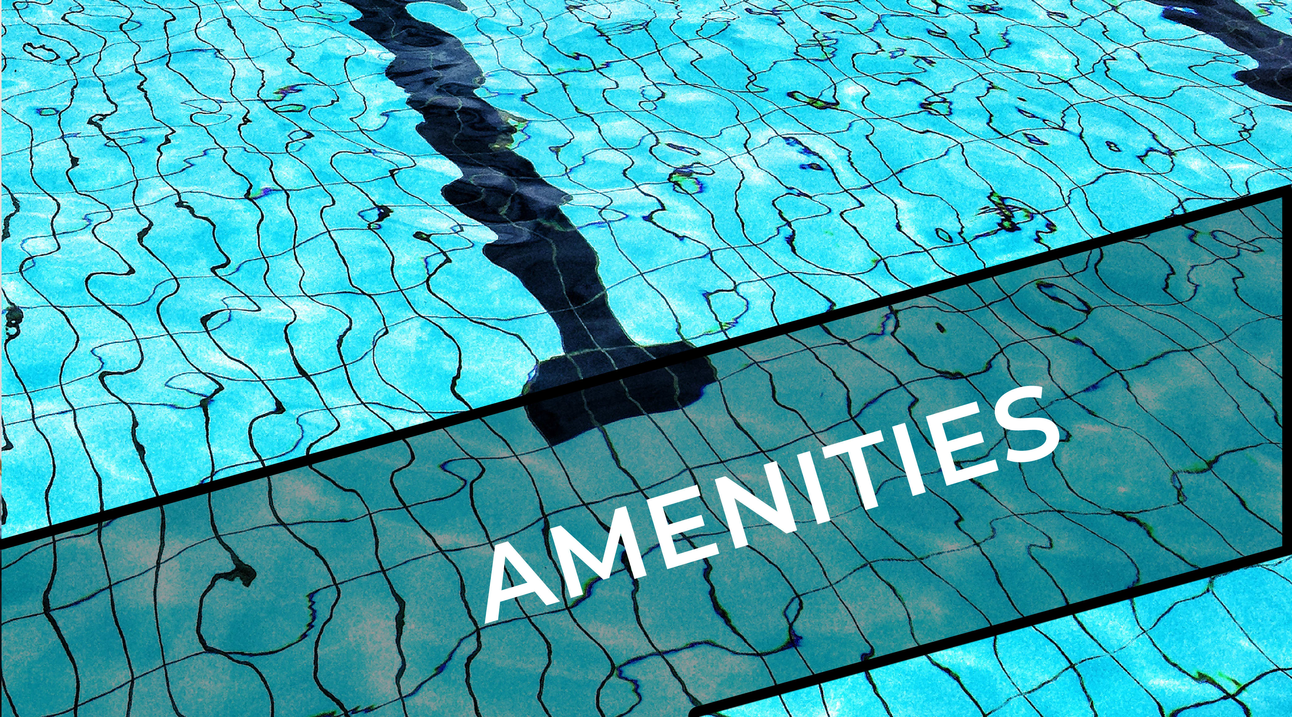 Amenities at Xenia Apartments in Golden Valley, Minnesota