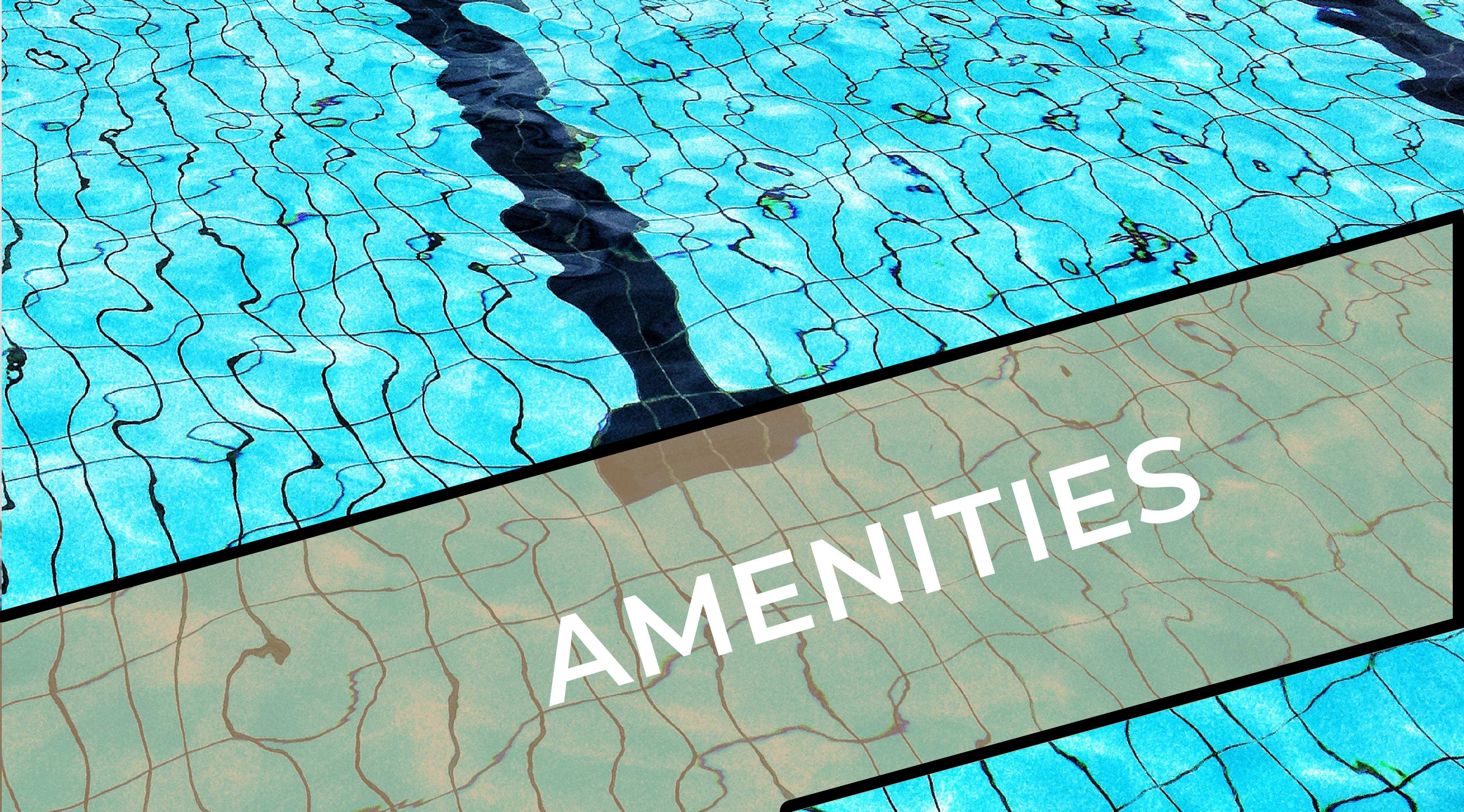 Amenities at Xenia Apartments in Golden Valley, Minnesota