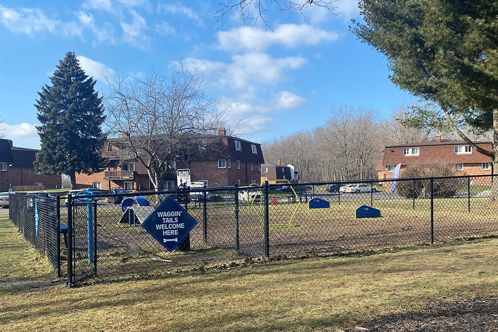 Photos & Virtual Tours of Raintree Island Apartments in Tonawanda, NY