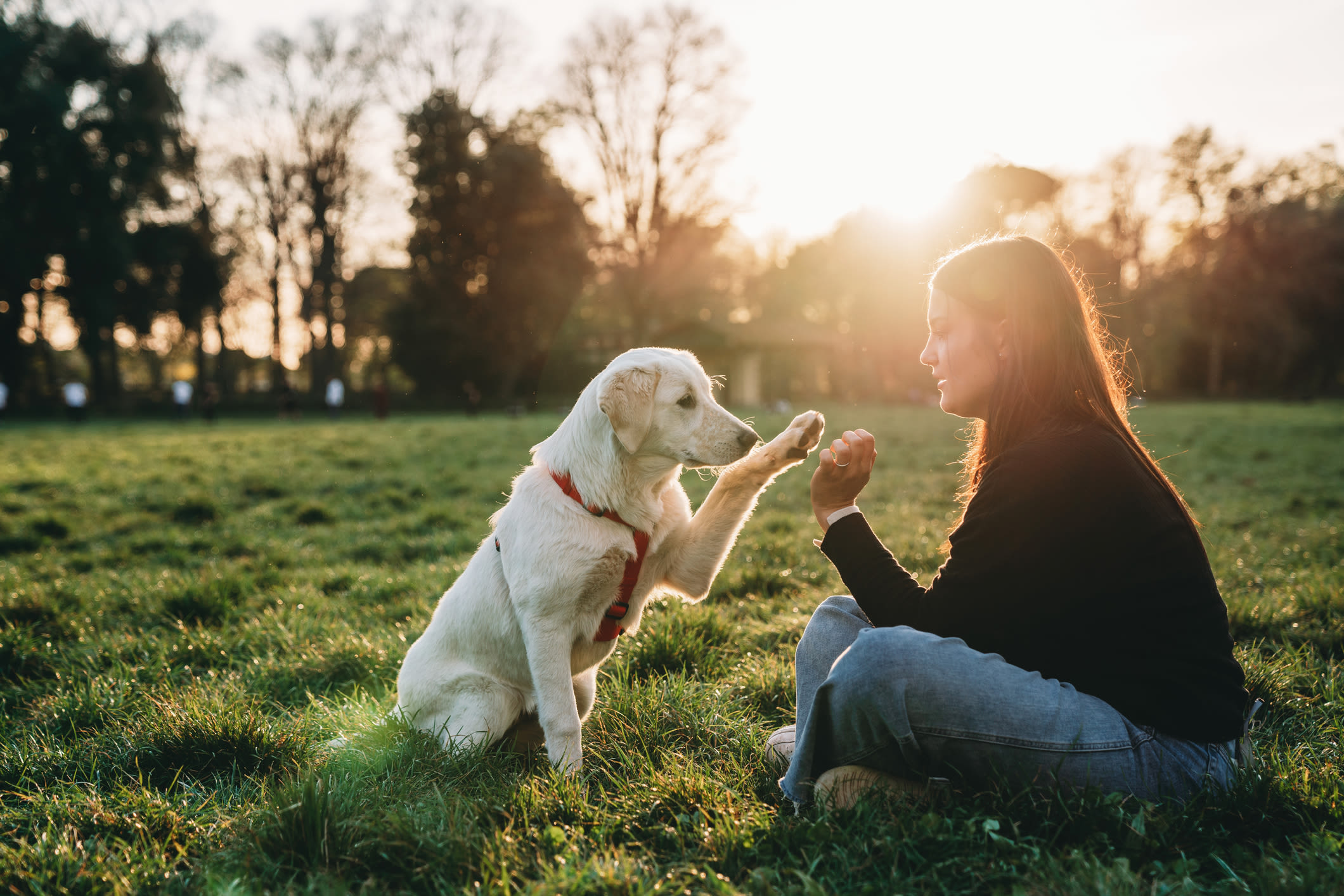 Resident playing with her dog outside at Camellia Trace in Jackson, Tennessee