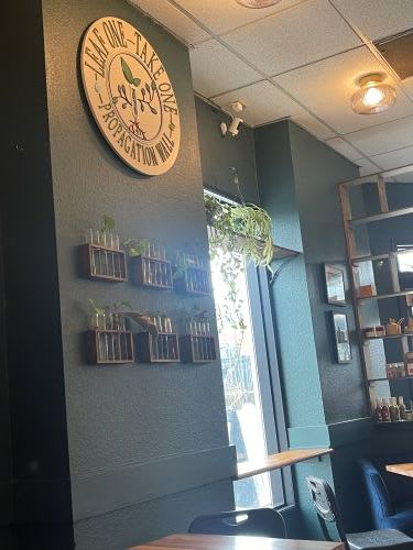 Sociology Coffee Bar (Folsom, CA)