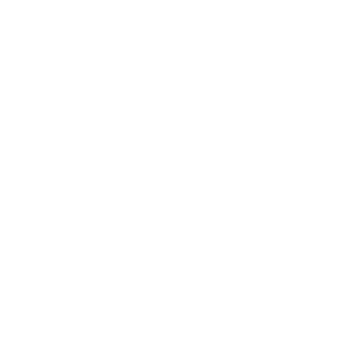 Person centered care icon