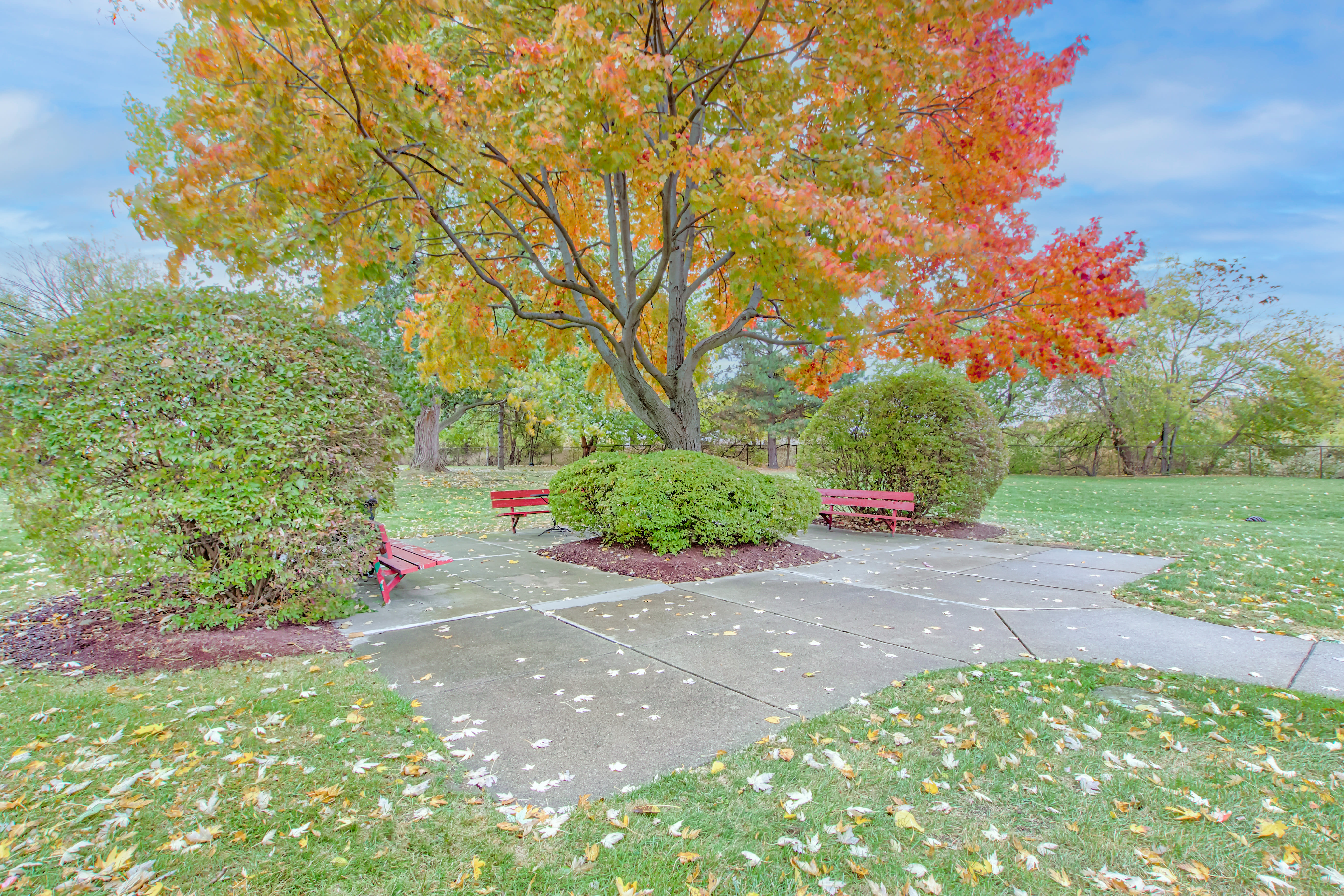 Outdoor greenery at Park Place Towers in Mount Clemens, Michigan