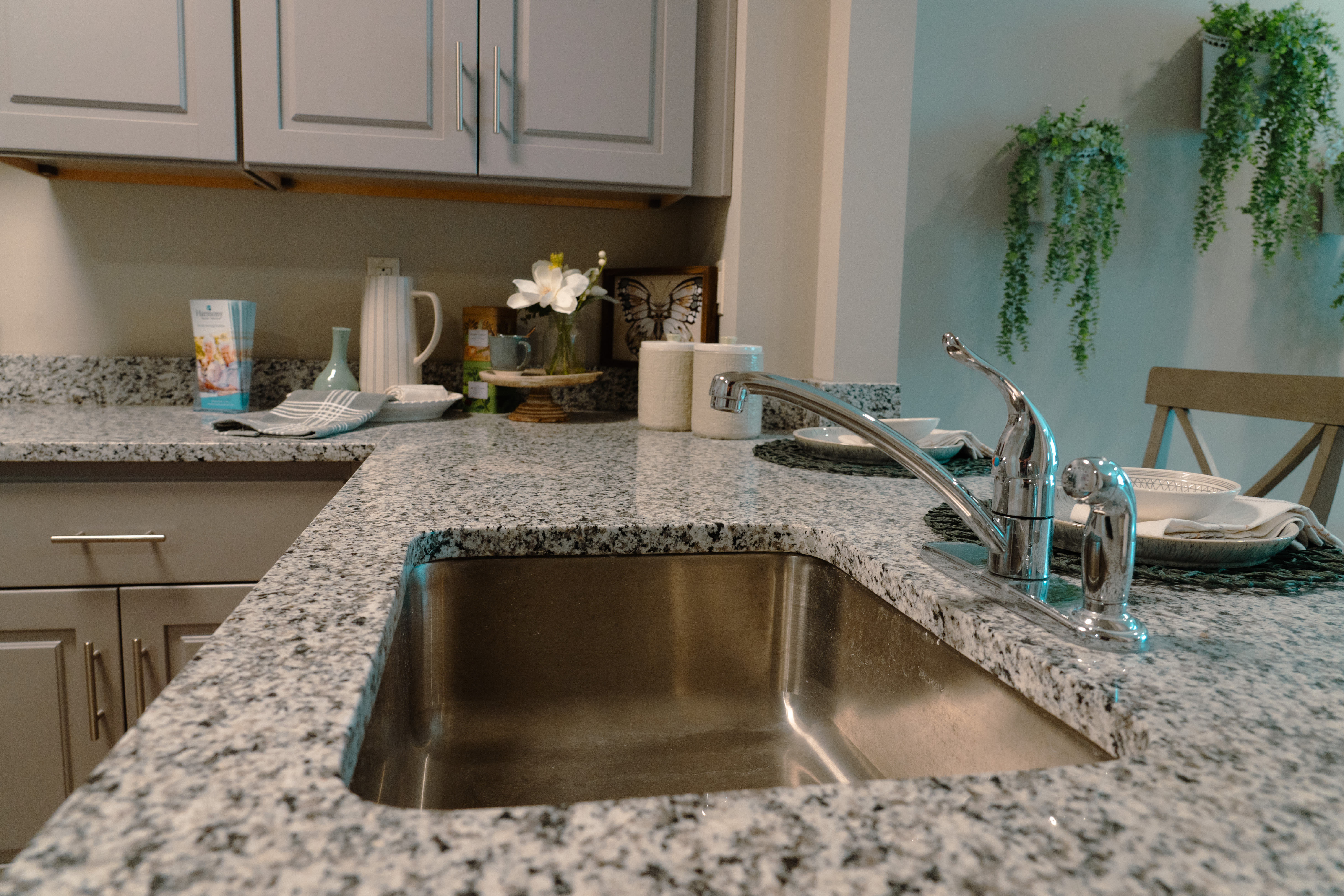 Stainless-steel appliances at Harmony at Kent in Dover, Delaware