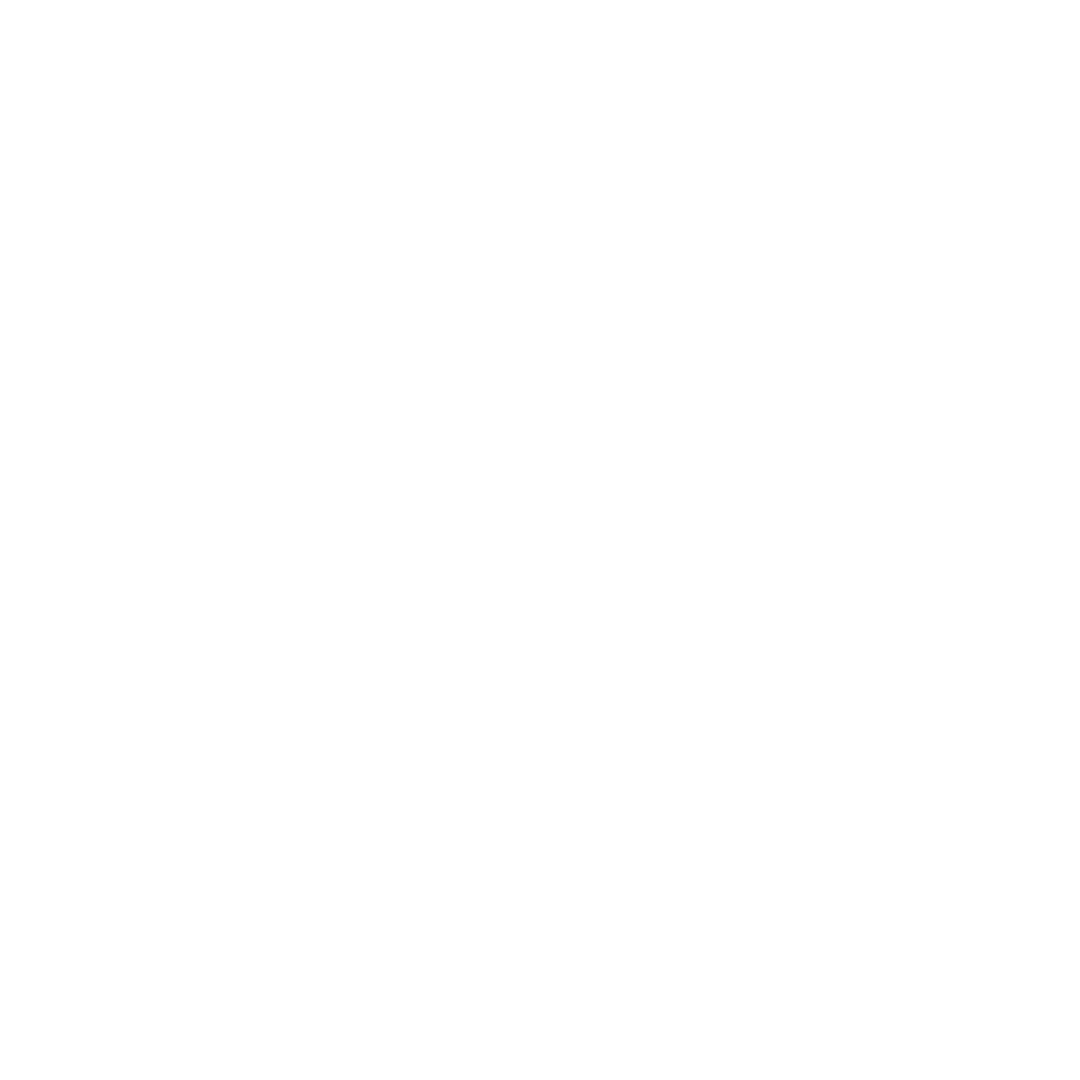 Dream Salon & Spa White Logo