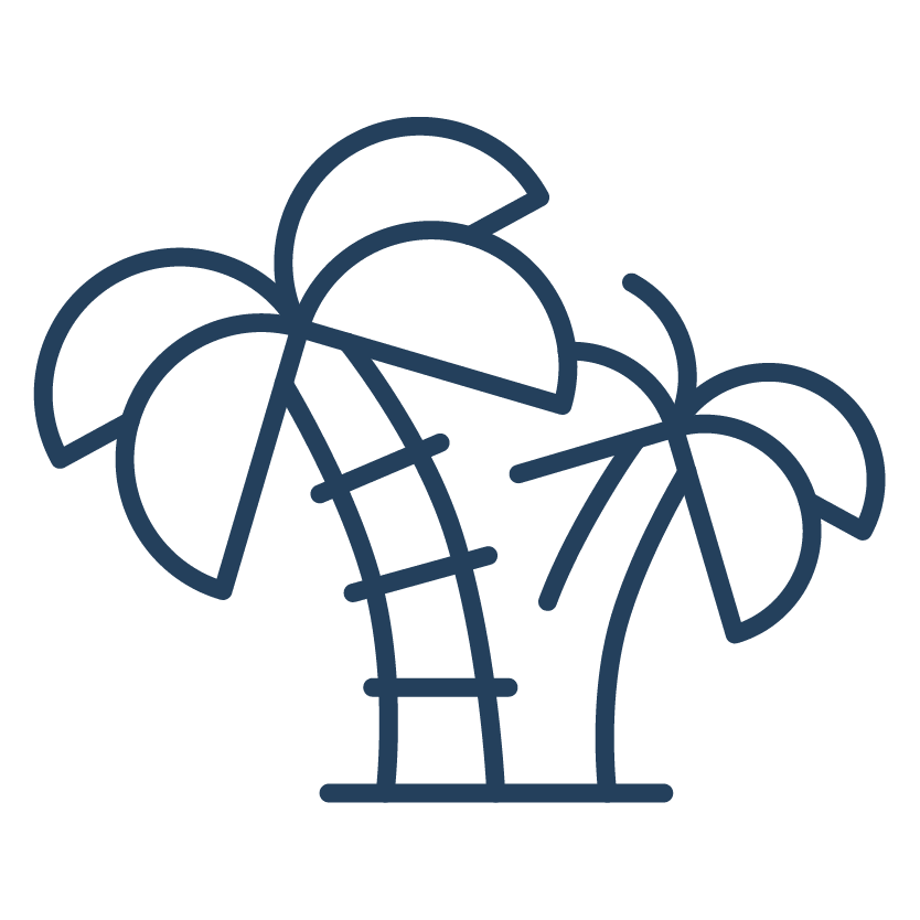 palm tree icon