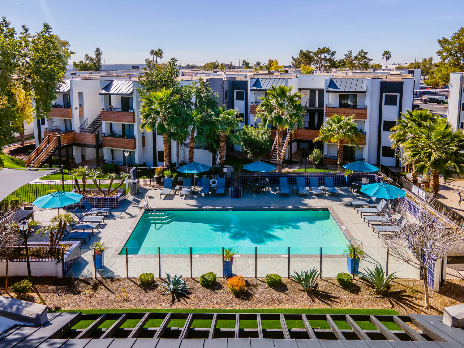 Palm trees surrounding the sparkling swimming pool at Station 21 Apartments in Mesa, Arizona