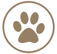 Pet friendly Apartments at Kentwood
