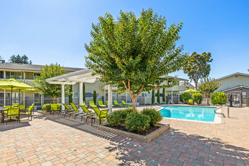 Shady area by the pool at Fremont Arms Apartments in Fremont, California