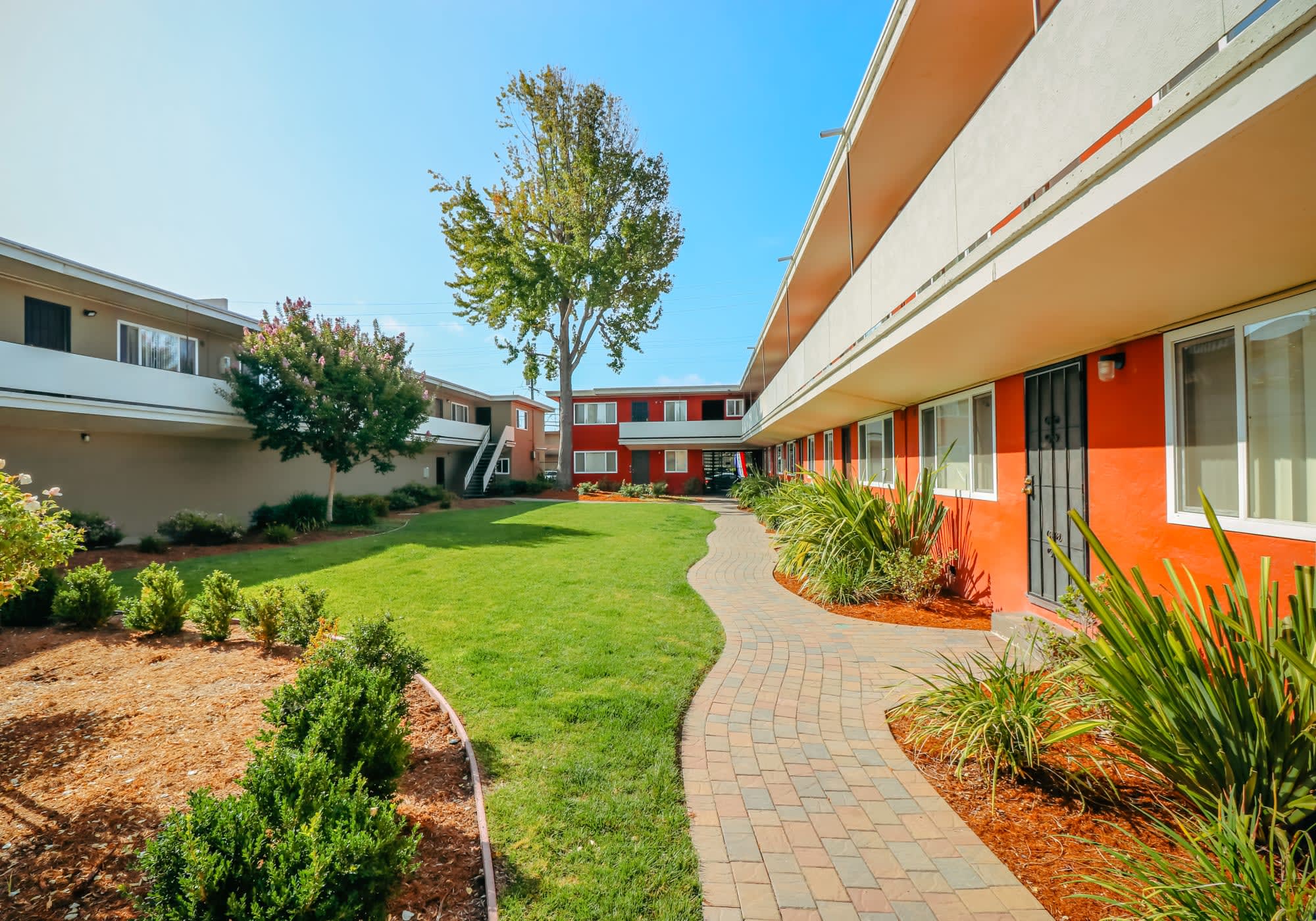 Sunny outdoor area with grass patch at Garden Court Apartments in Alameda, California