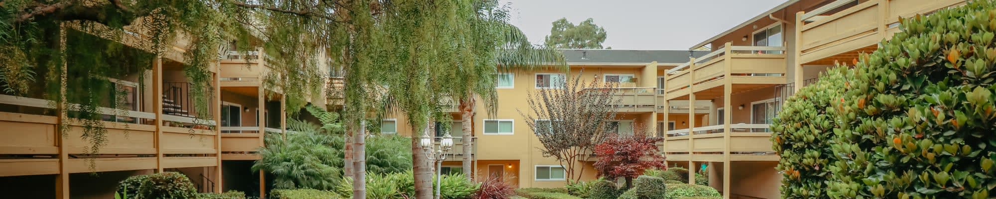 Courtyard with trees and balconies at Bayfair Apartments in San Lorenzo, California