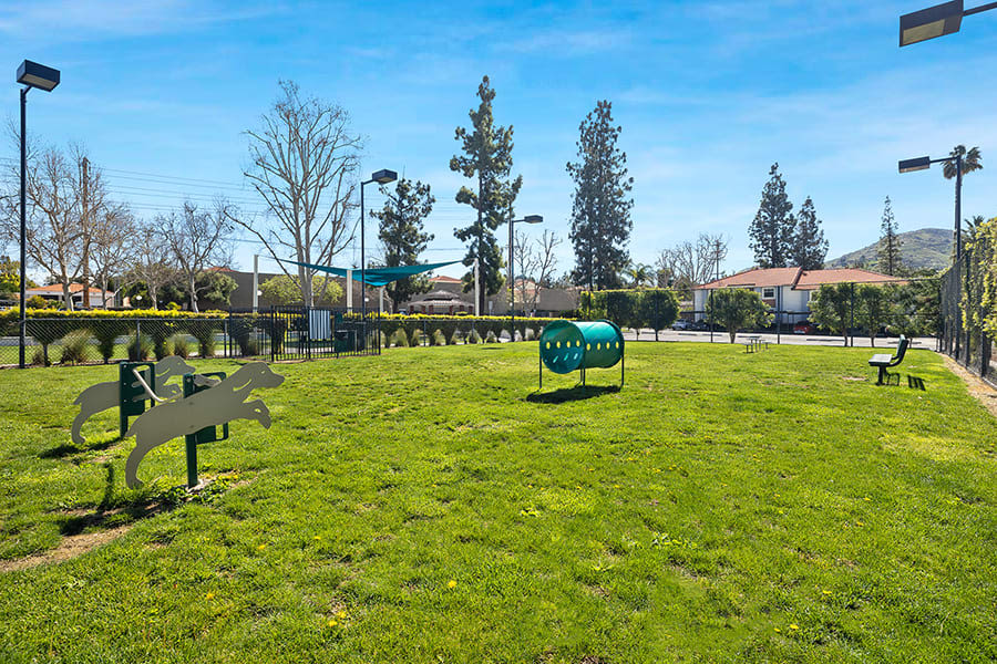 Dog park at Trails at Grand Terrace in Colton, California