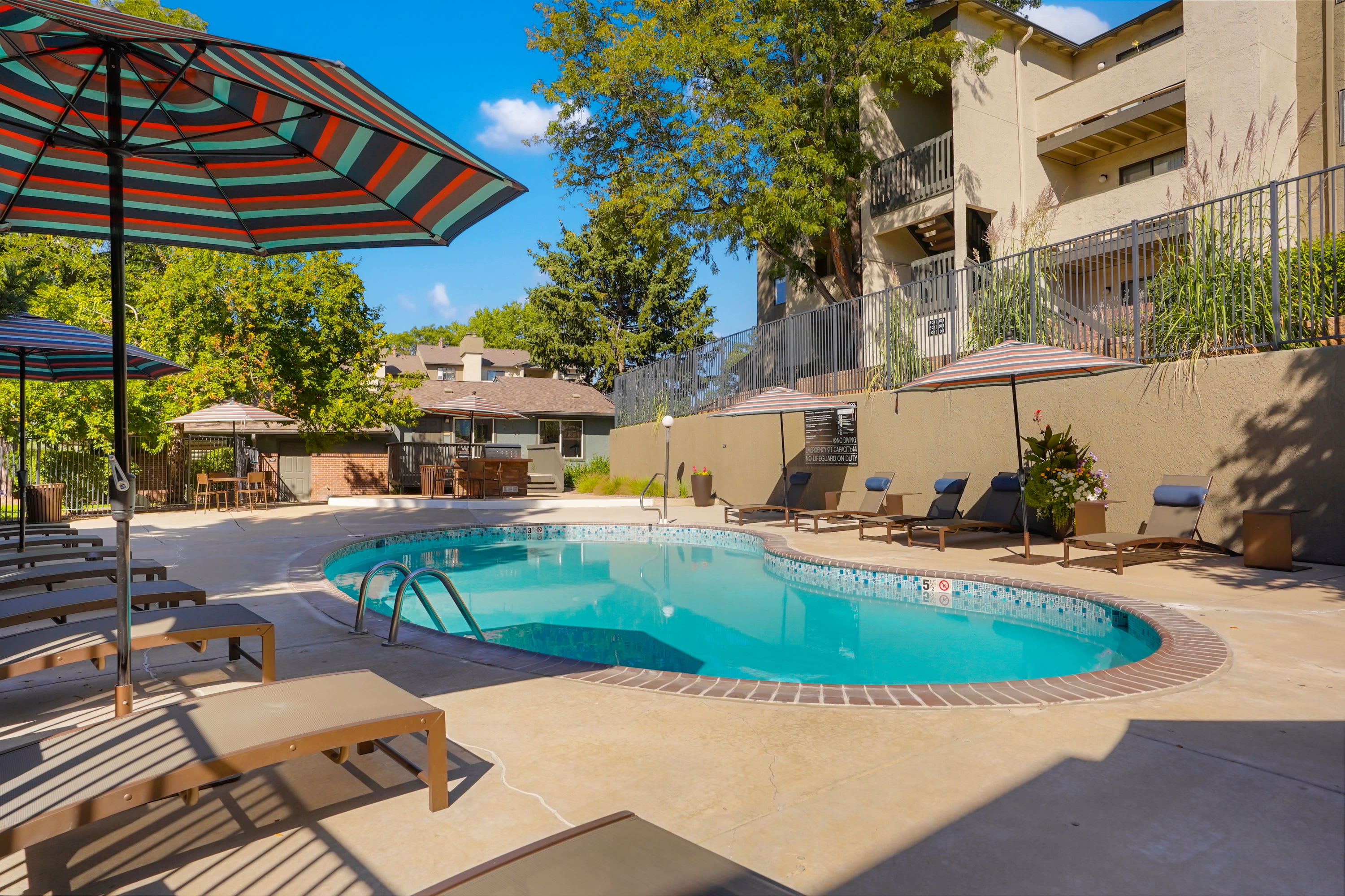 Awesome pool with lounge chairs on the side to relax in at Sofi Belmar in Lakewood, Colorado
