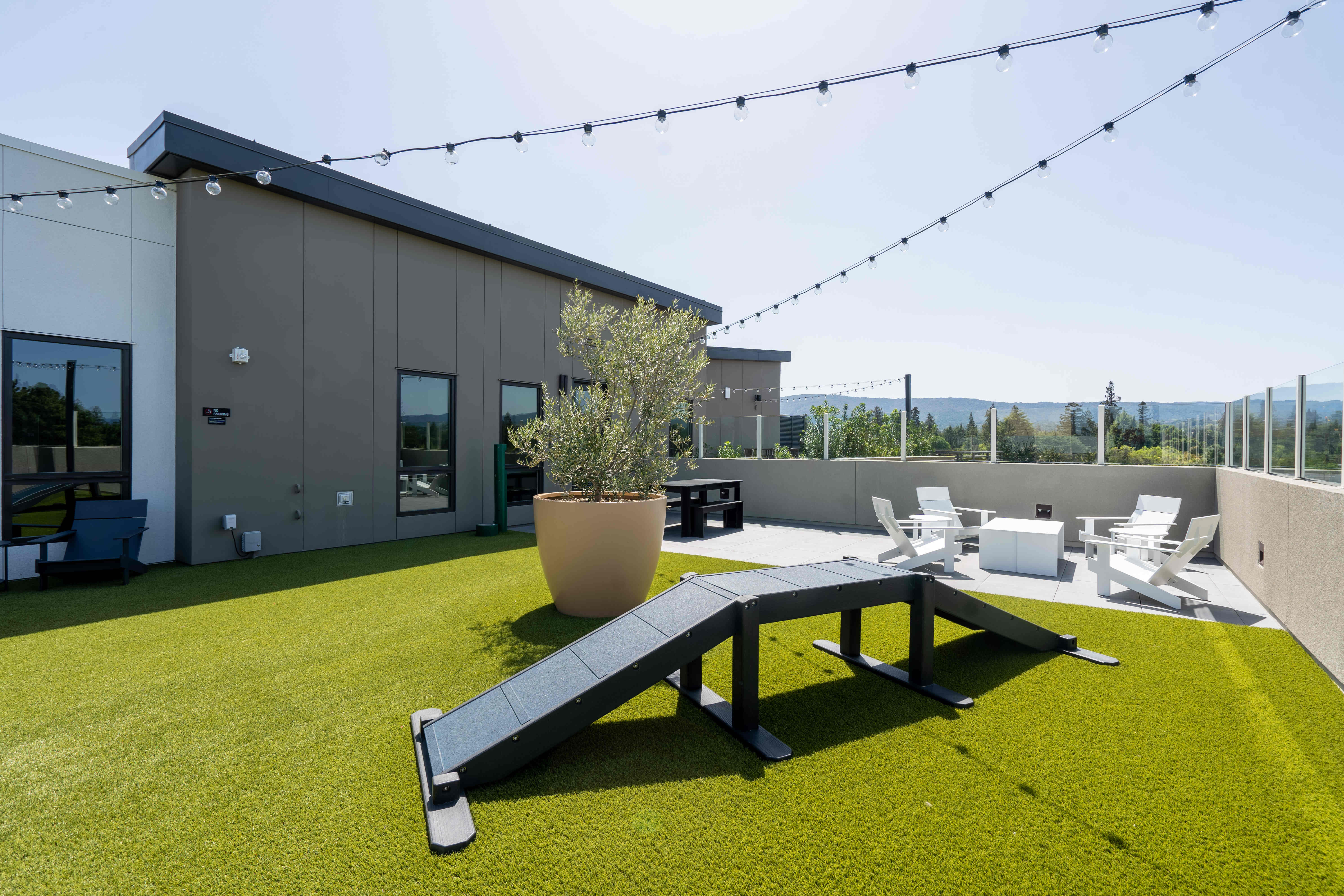 Rooftop dog park with agility equipment at MV Apartments in Mountain View, California